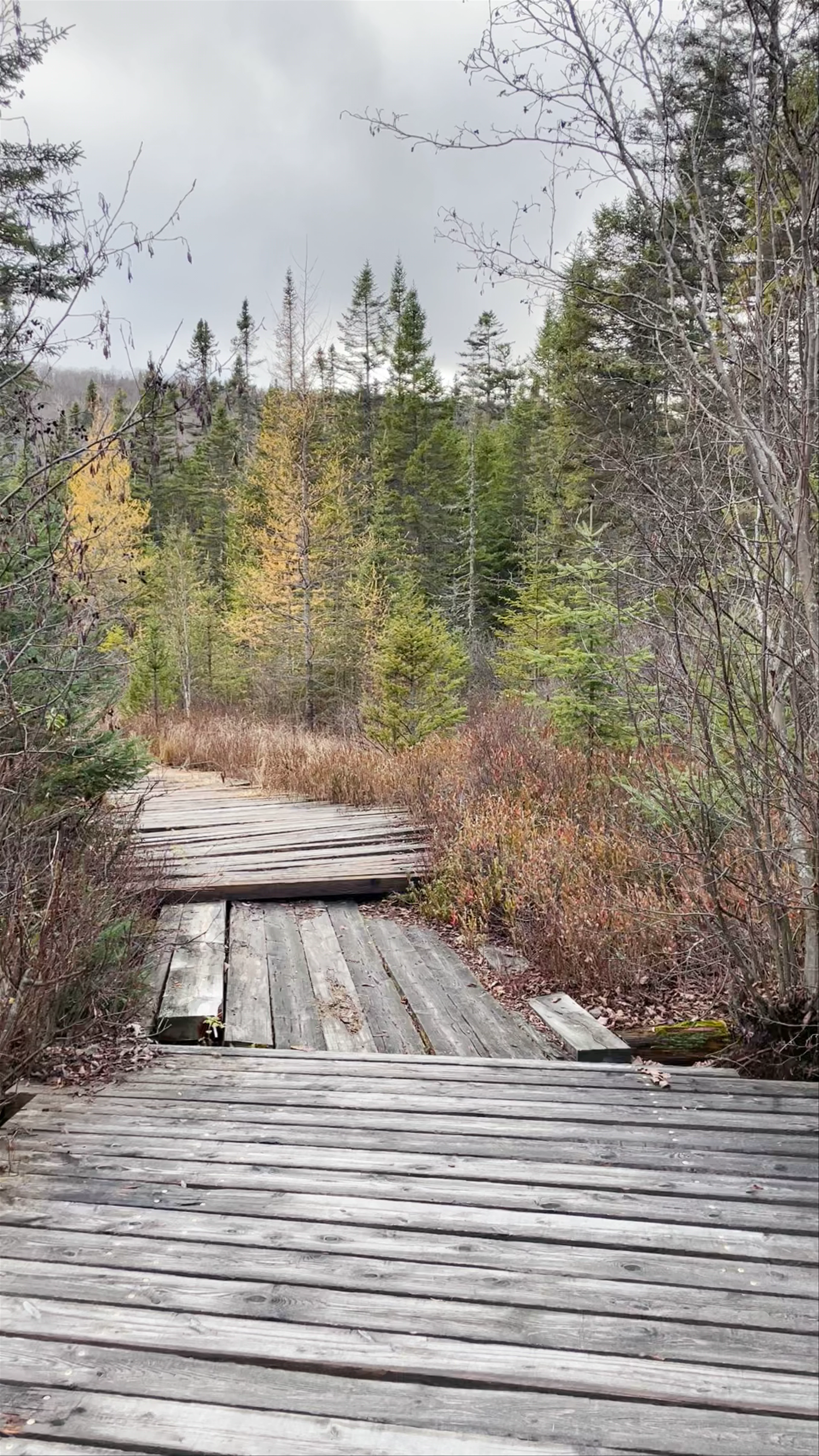 Sainte-Agathe-des-Monts