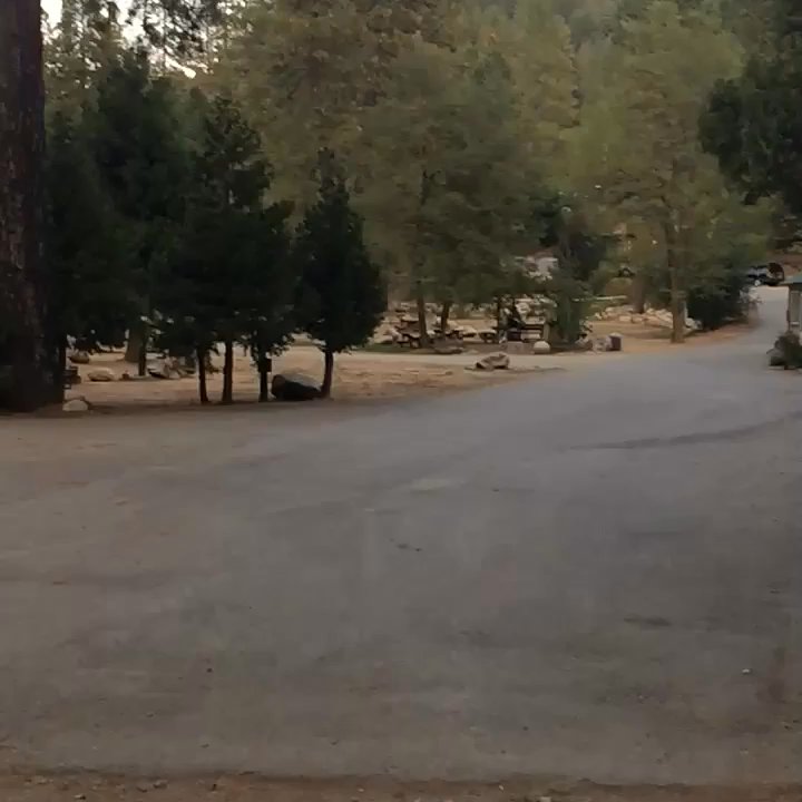 River Rest Resort - Campsites just above the river - Campgrounds Near Me - Washington, California