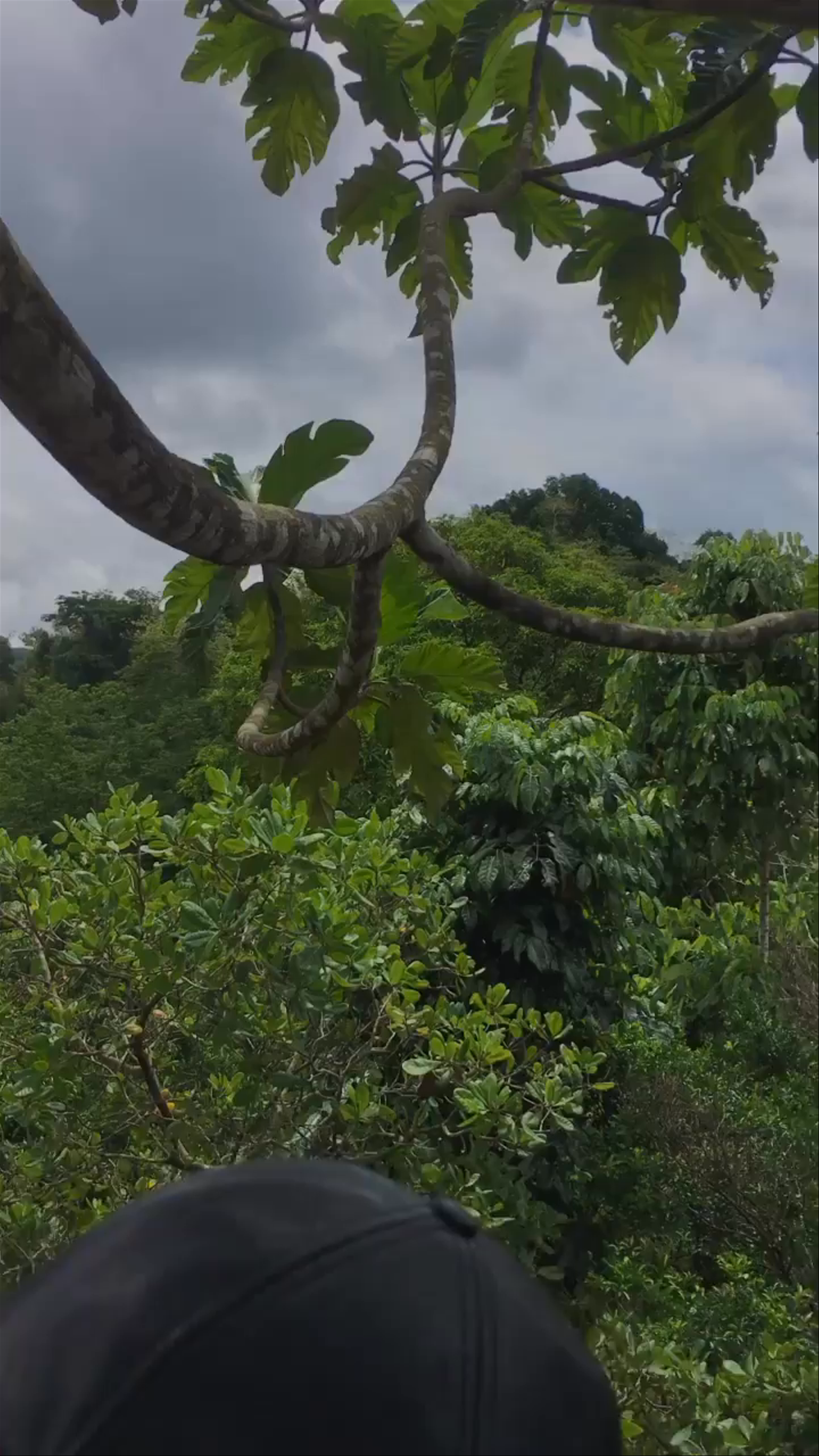 Dalandanan Nature Camp (jump off)