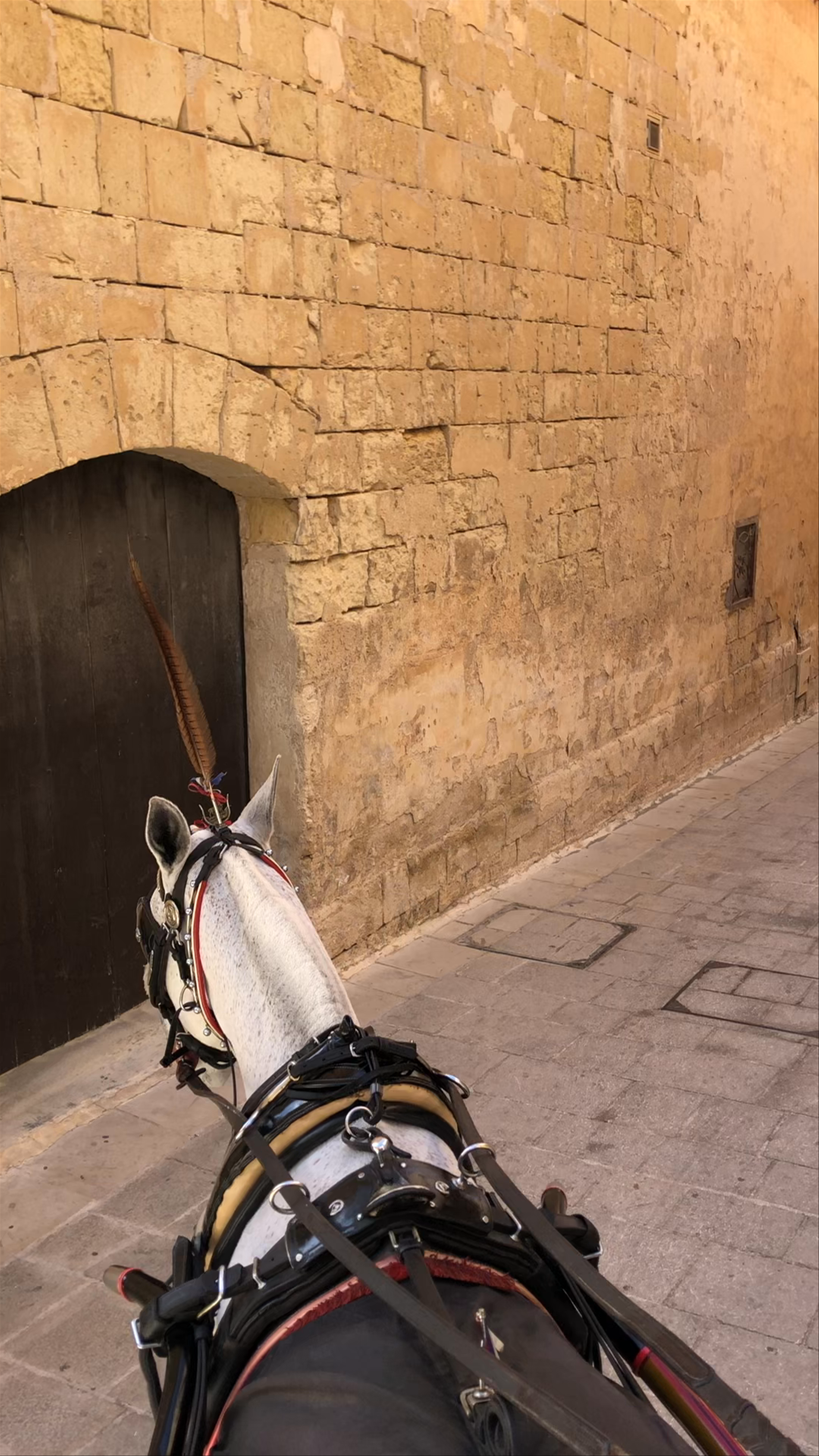 Mdina Gate
