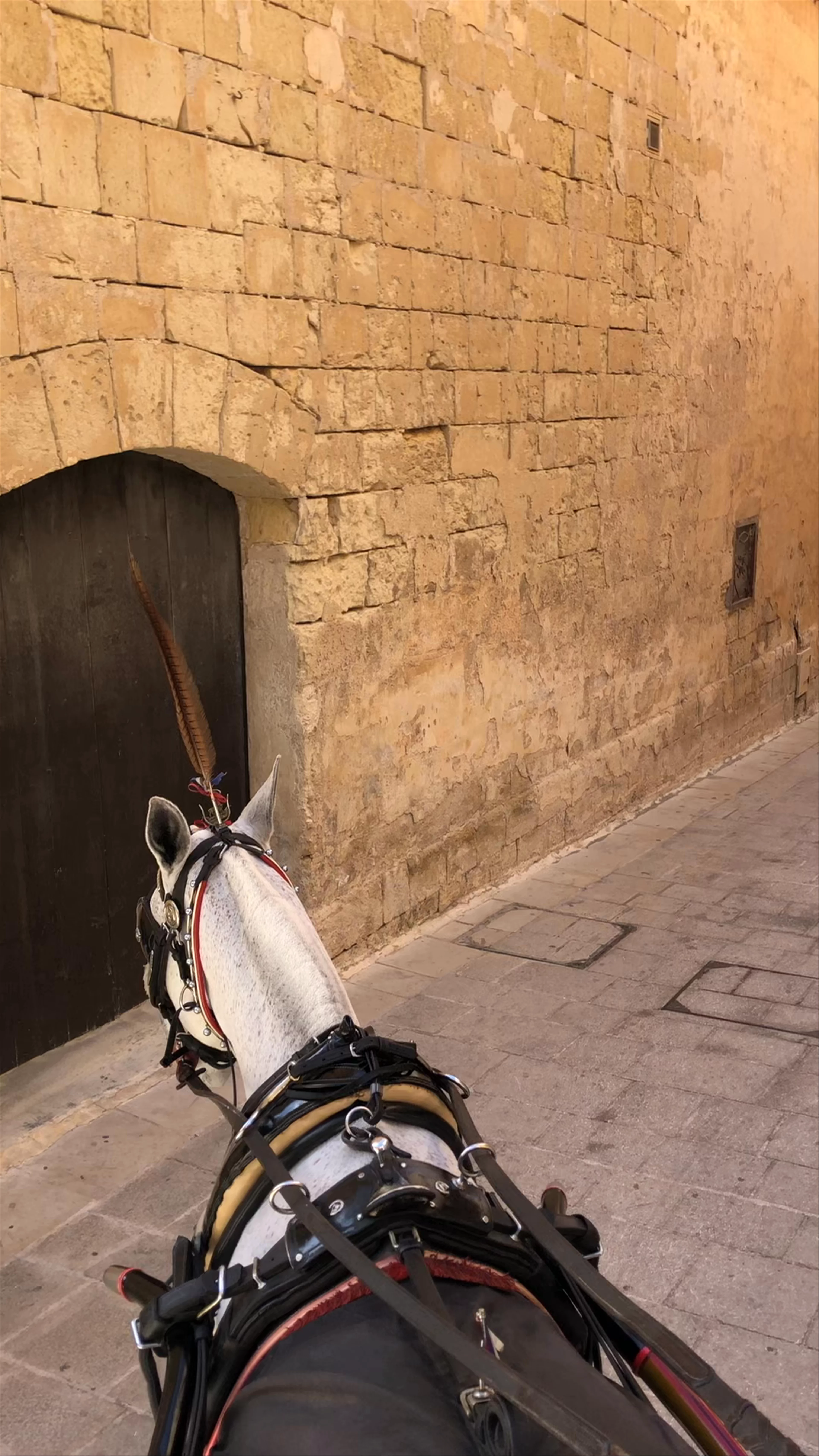 Mdina Gate