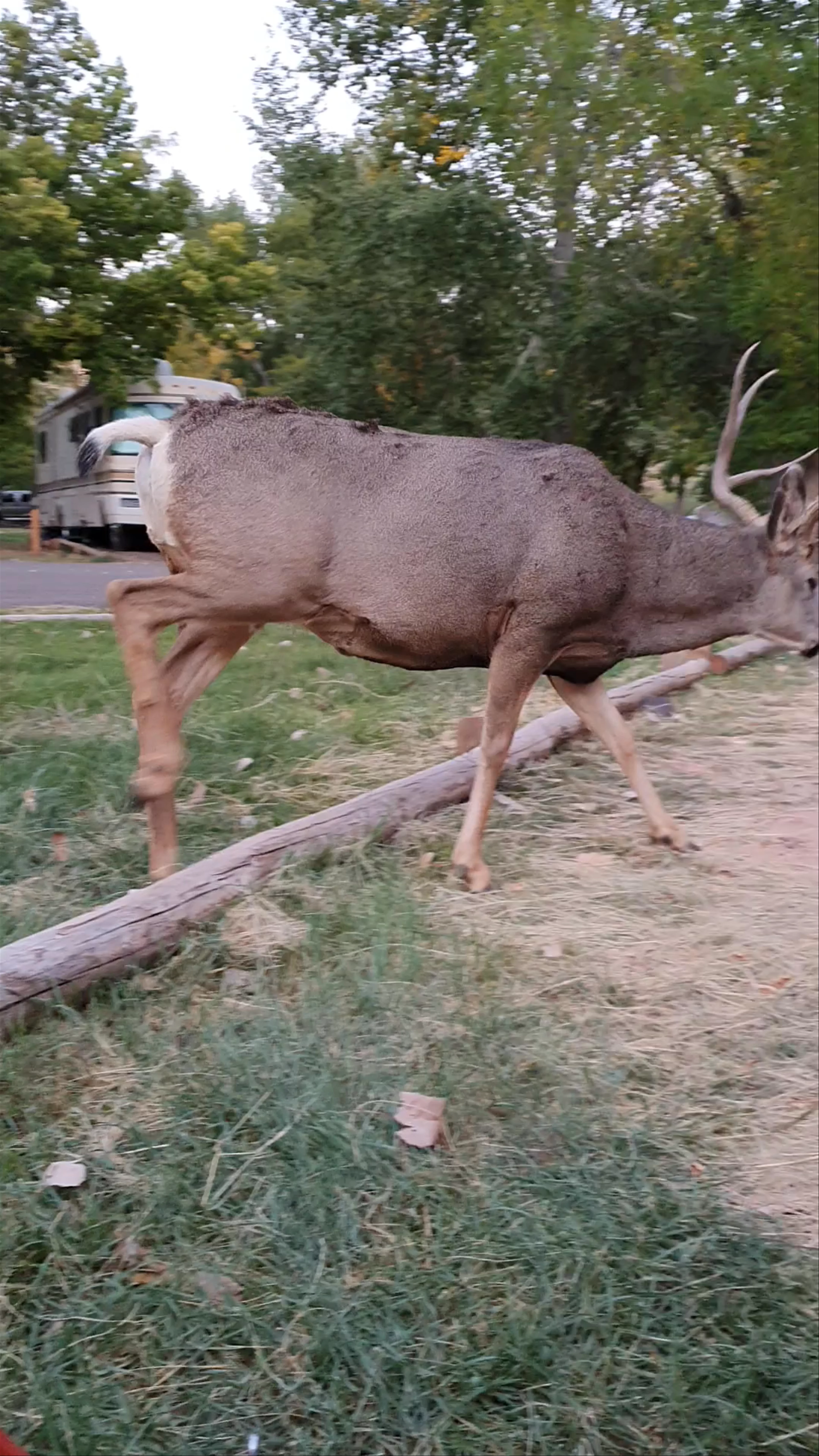Fruita Campground