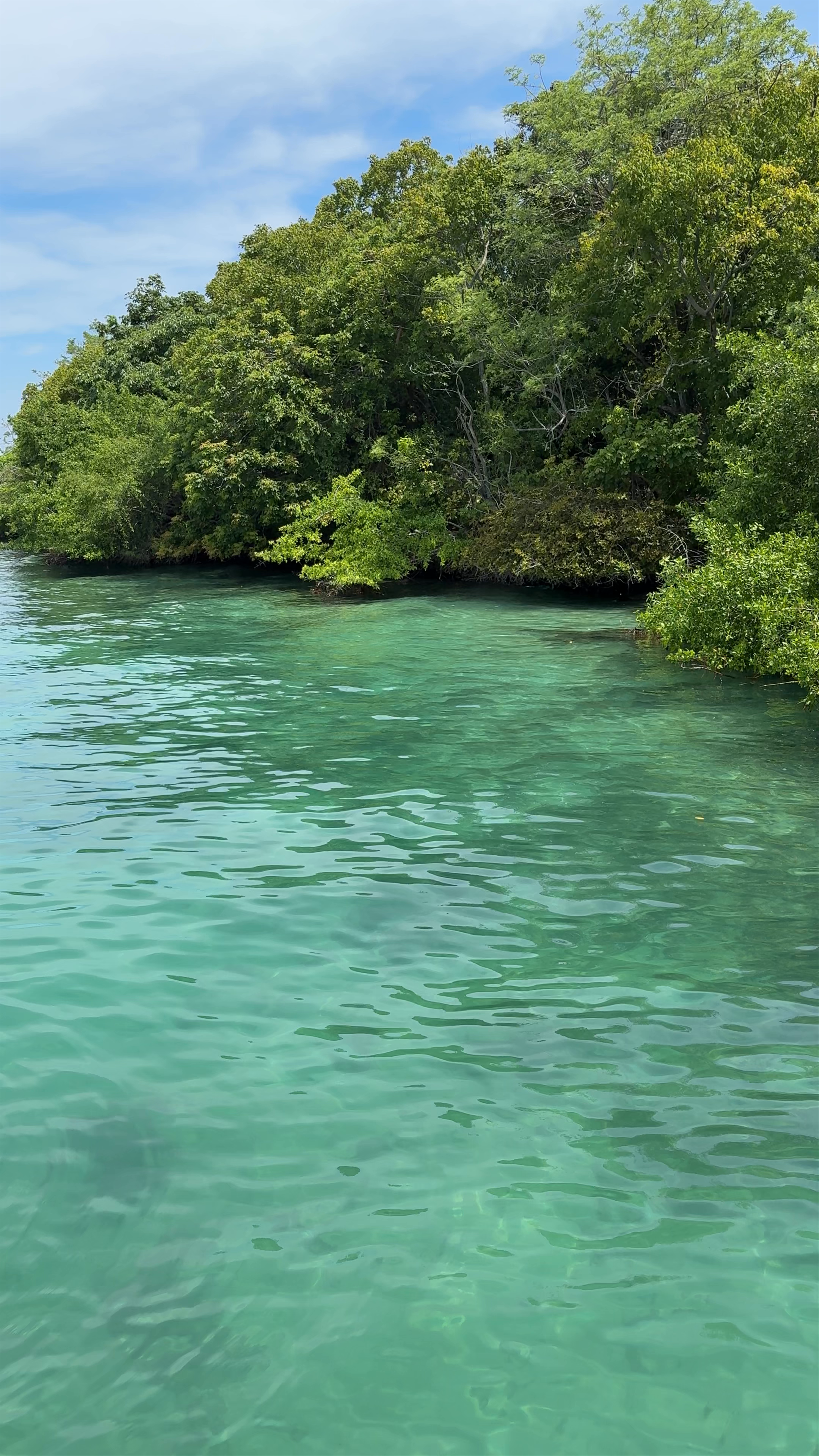 Isla Pescadito