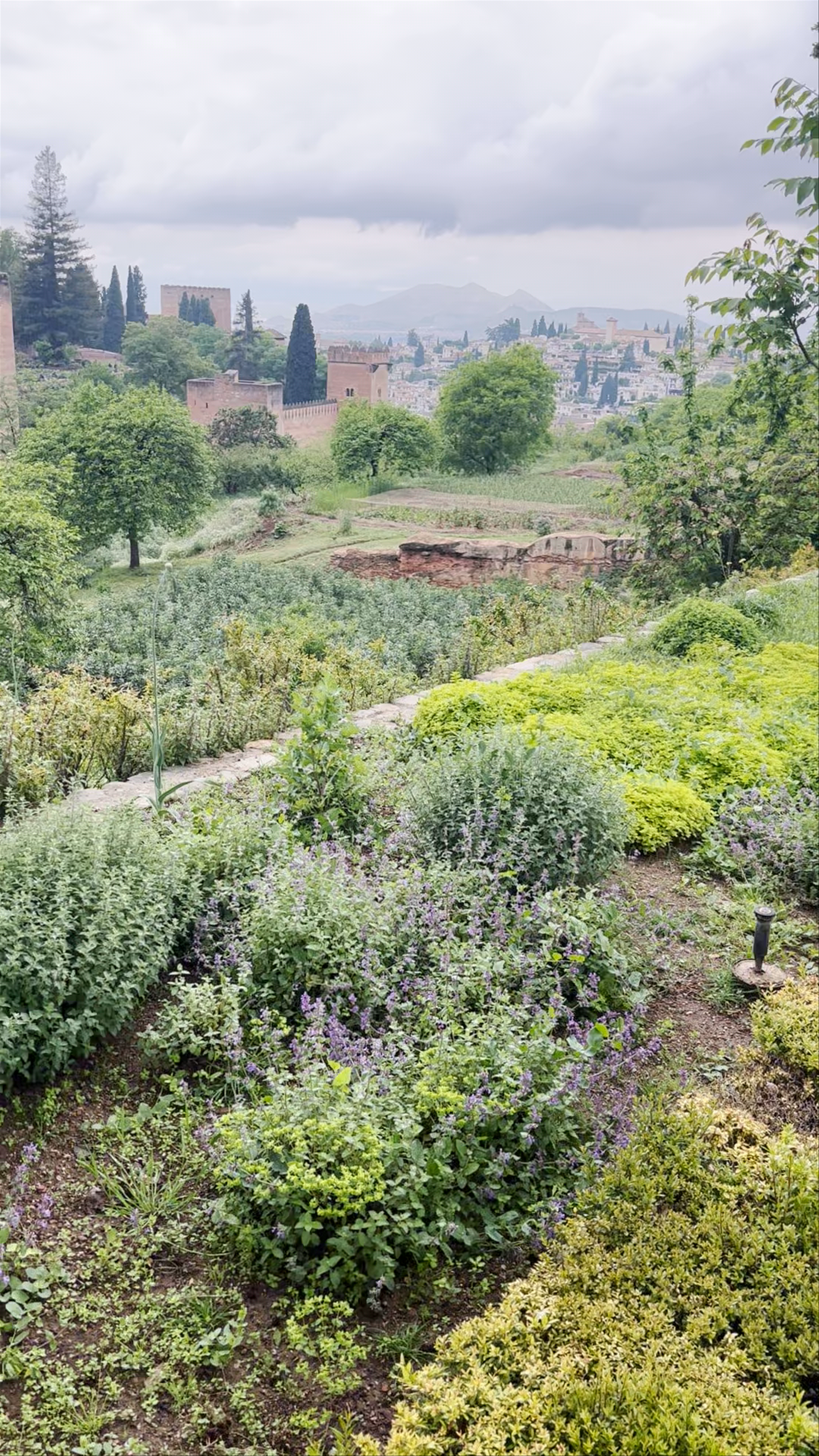 Alhambra