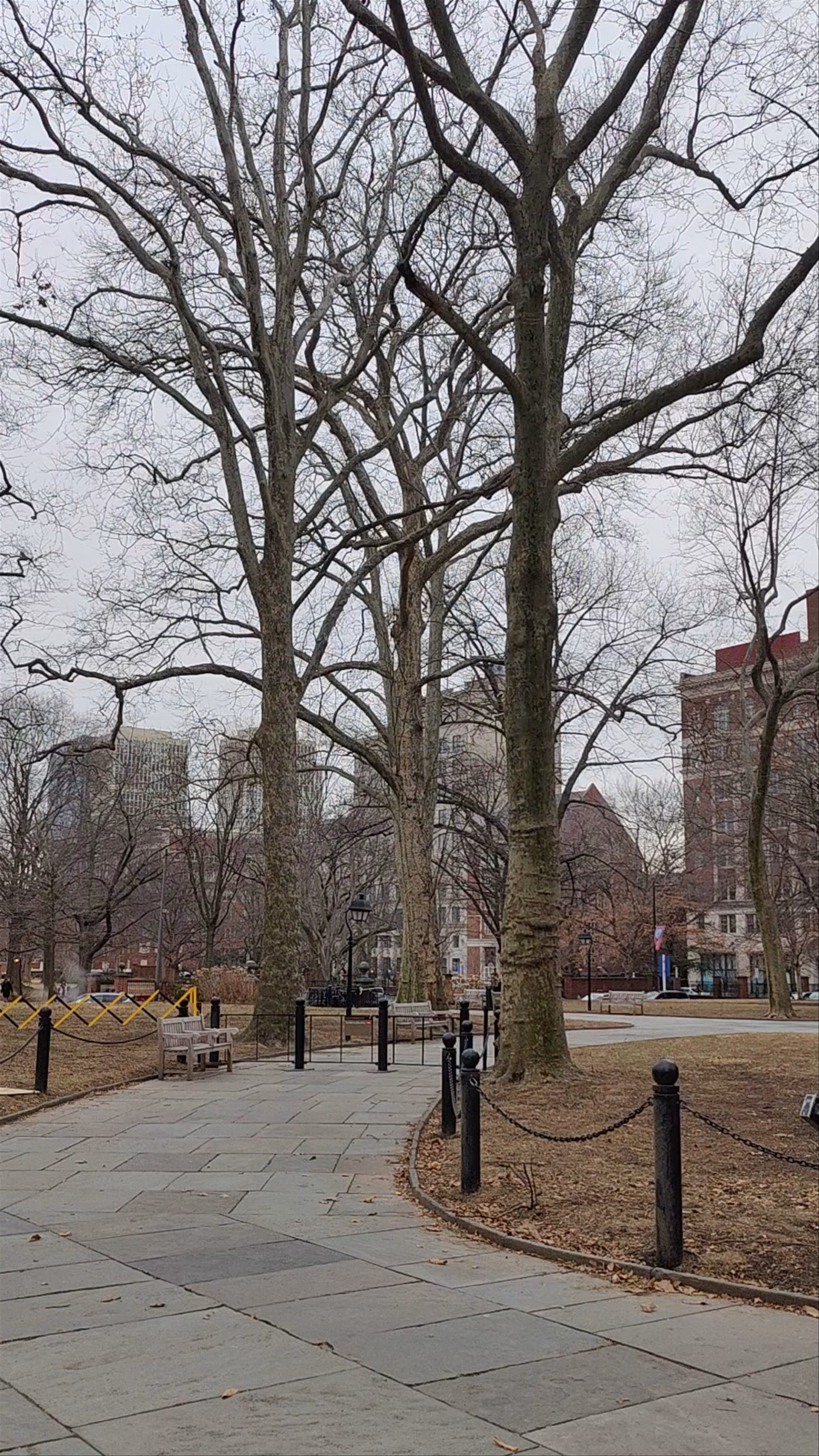 Winter Stroll Through Independence Square in Philadelphia