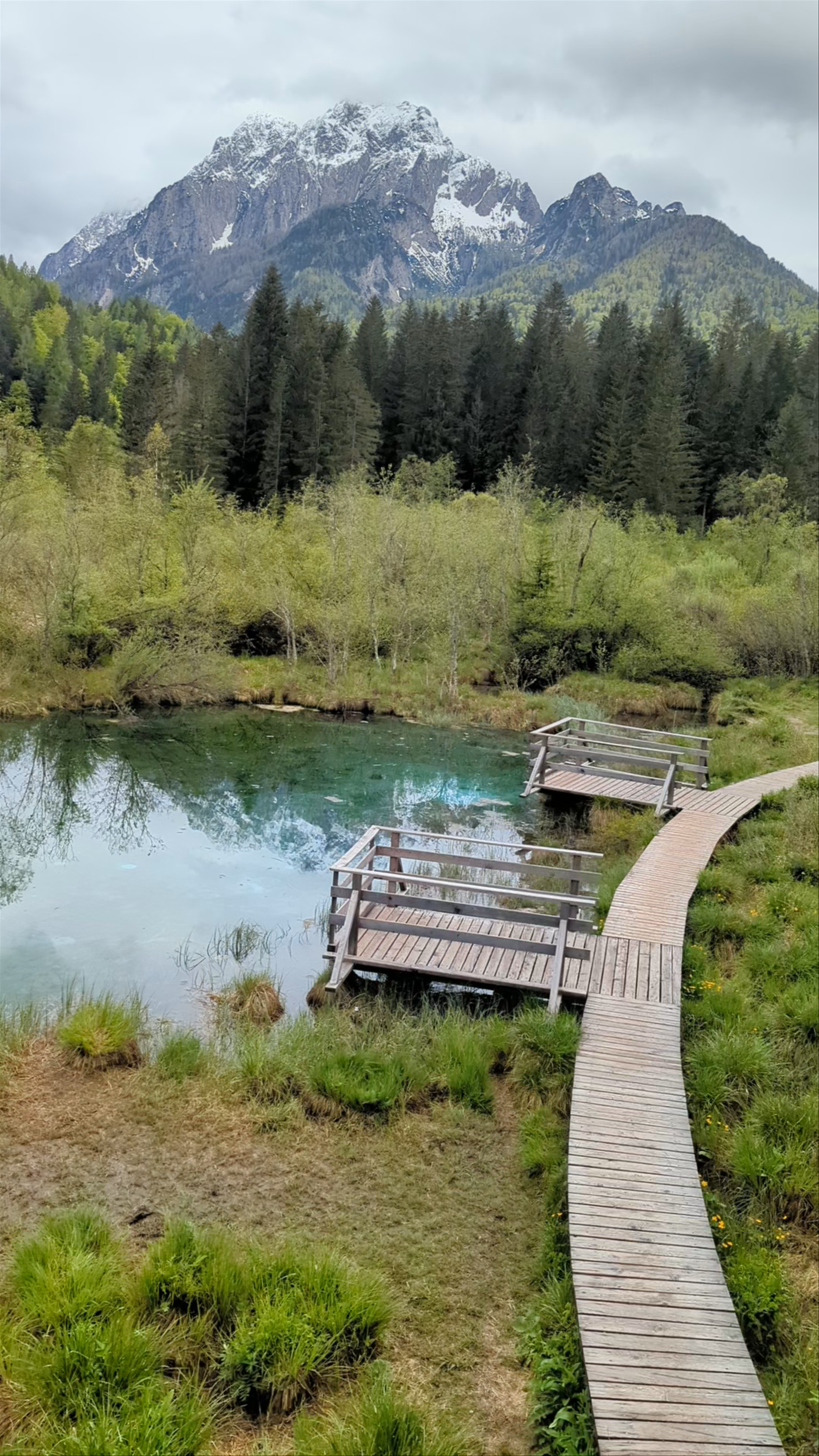 Zelenci Nature Reserve