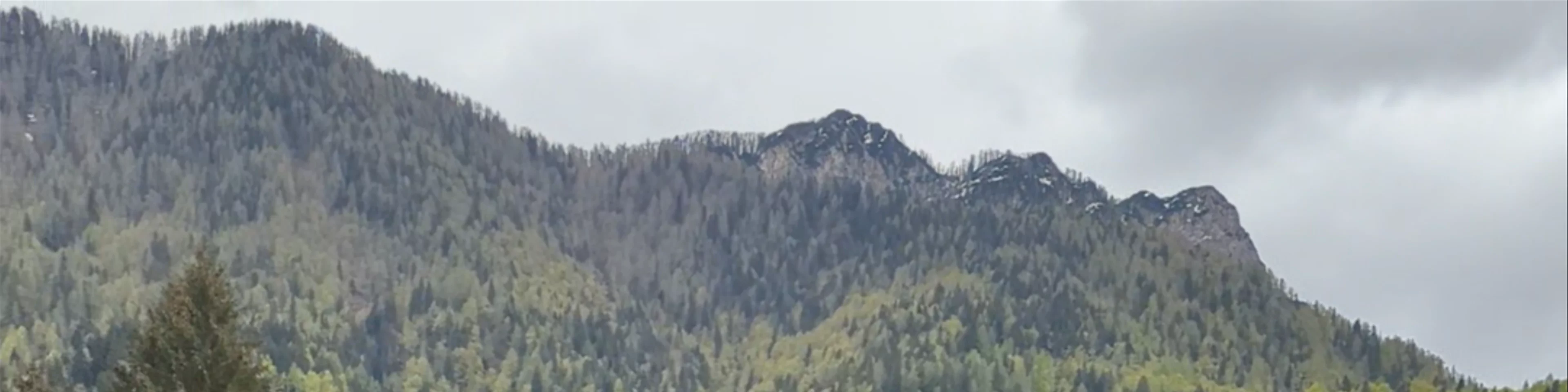 Zelenci Nature Reserve