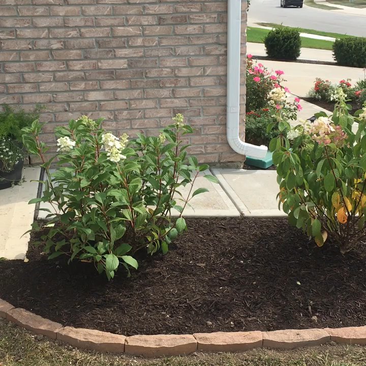 Native Roots Landscaping - New landscape project. - Landscaping Near Me