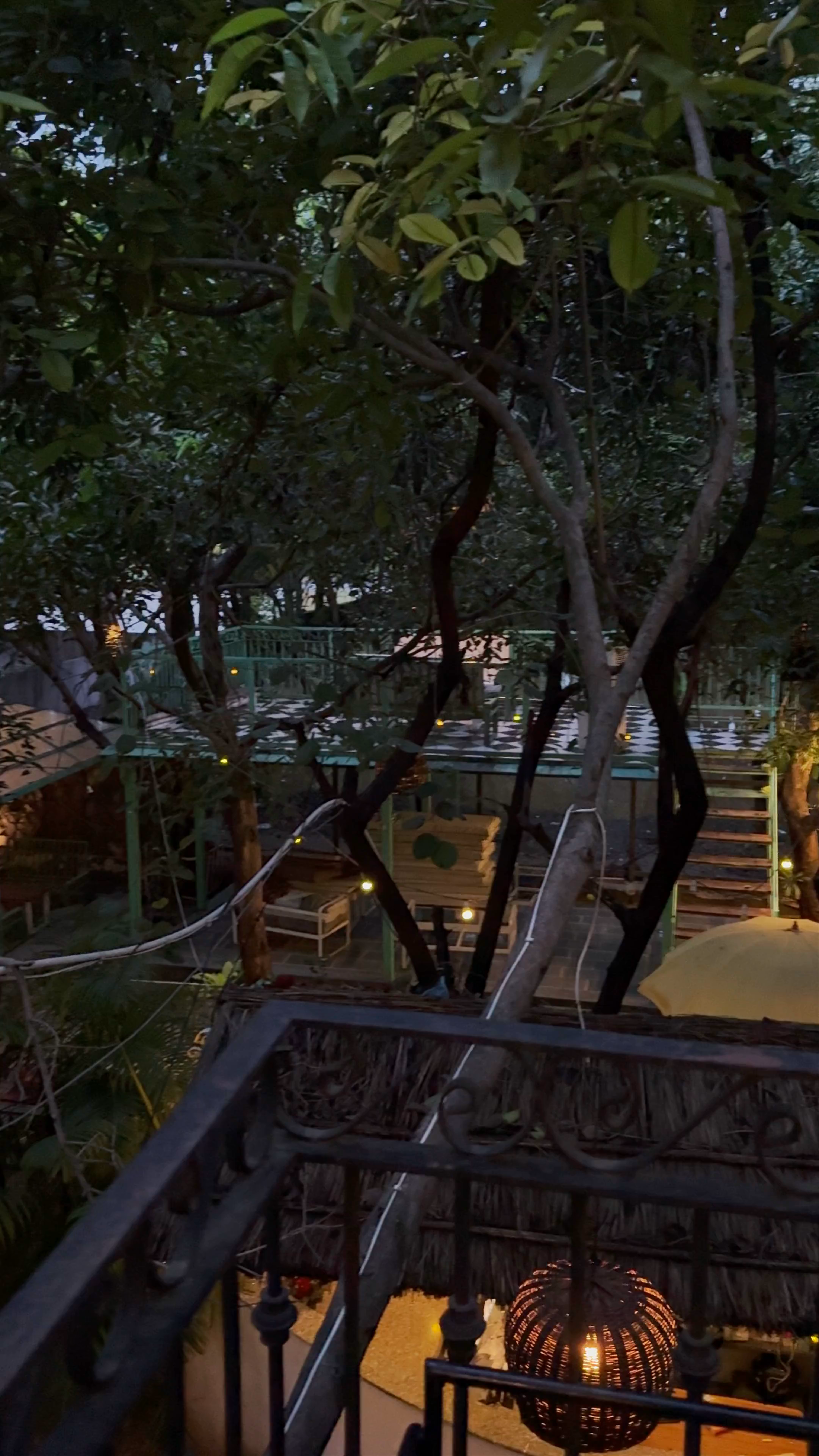 Food & Forest