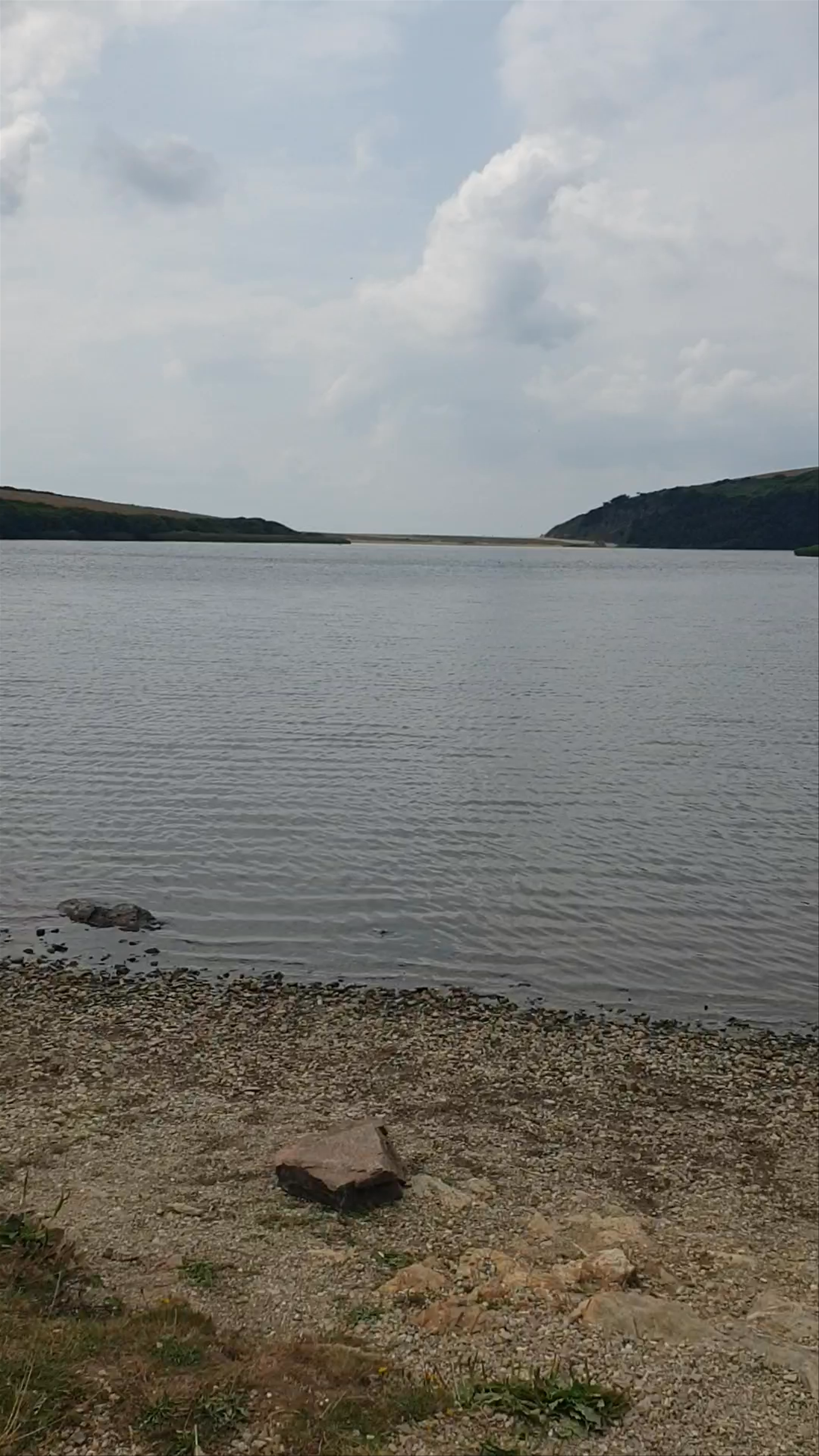 Serene Waters and Wildflowers at The Loe, Helston