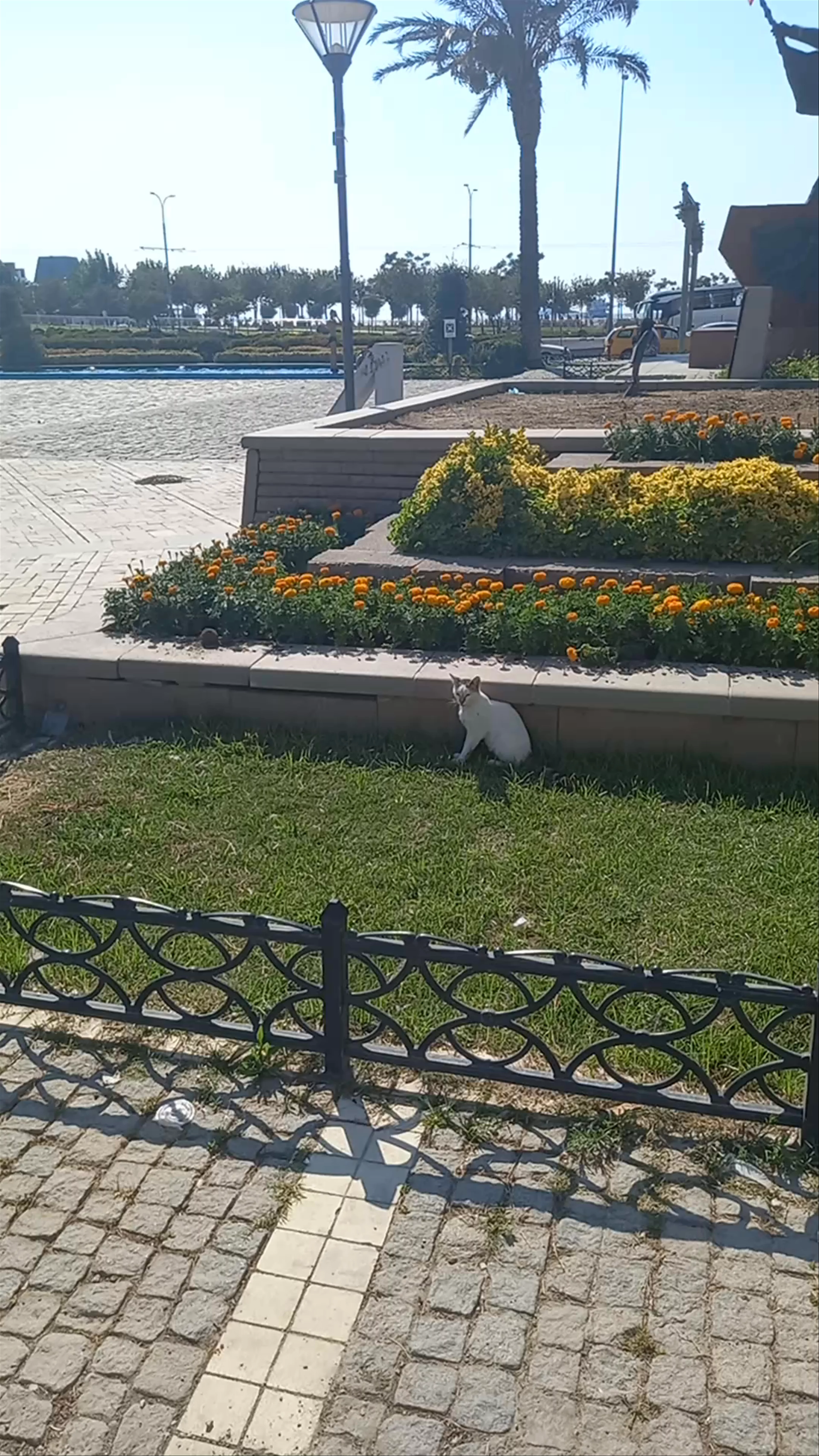 First Bullet Monument, Konak