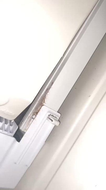 Roosevelt Park - Roaches in ice maker - Parks Near Me - San Antonio, Texas