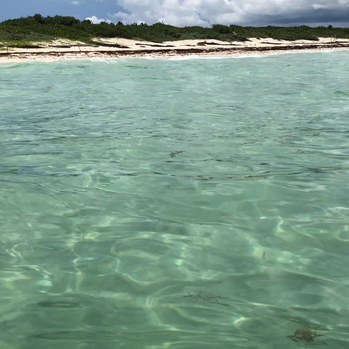 Playa de San Martin - Waters of San Martin super clear - Beaches Near Me - Cozumel, ROO