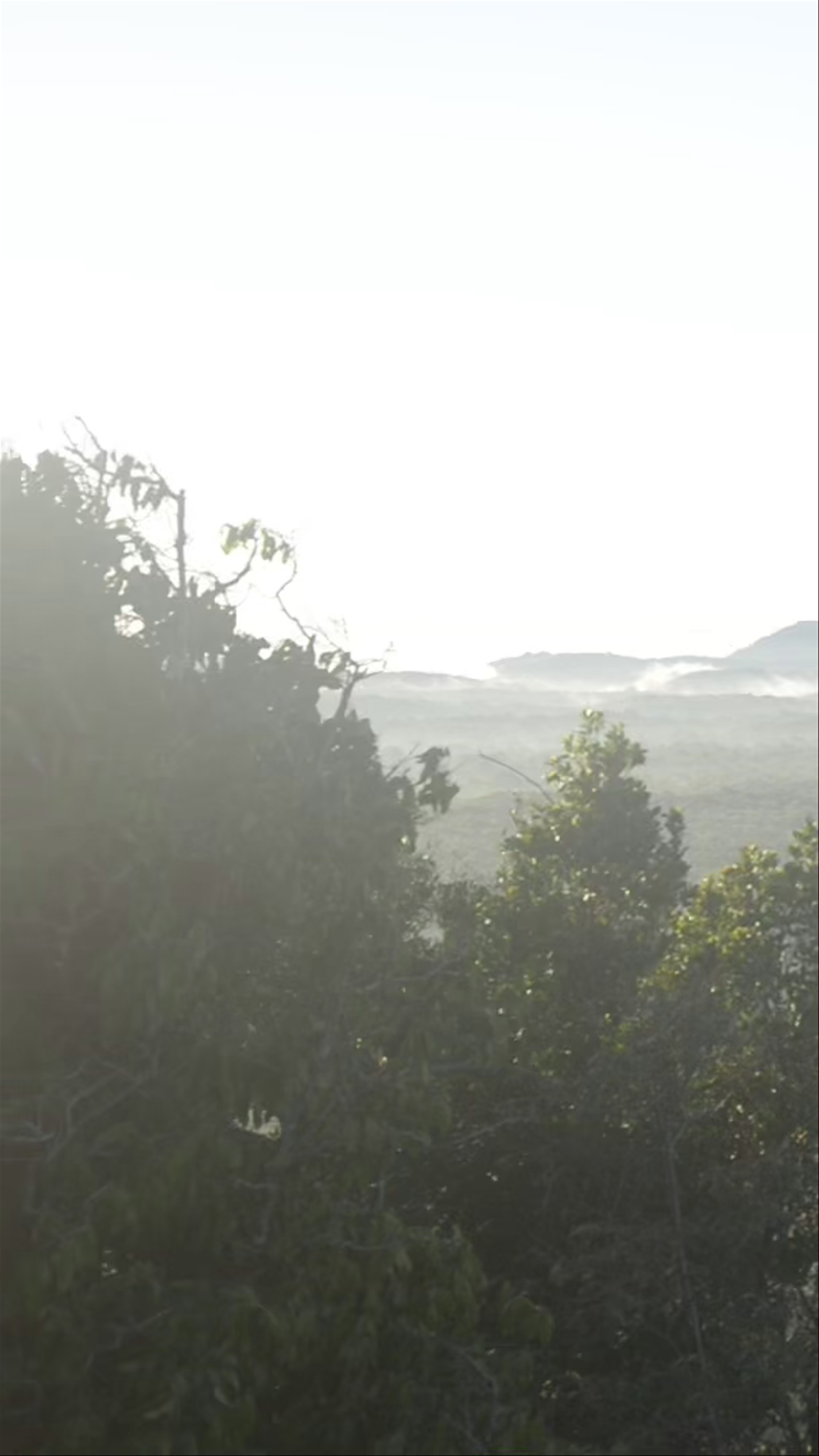 Sunrise over Pidurangala Rock, Sigiriya, Sri Lanka