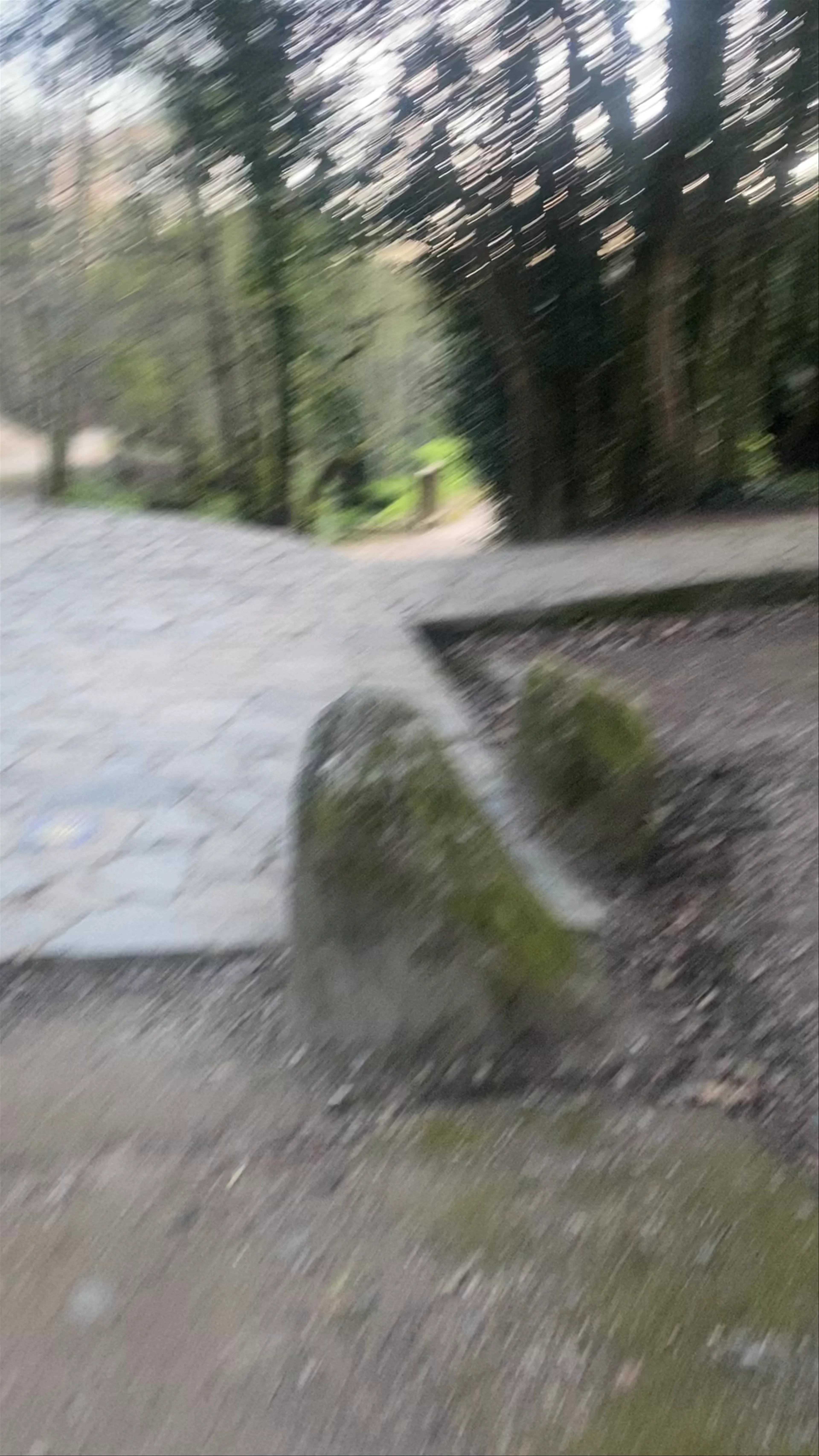 Área Recreativa De Carboeiro