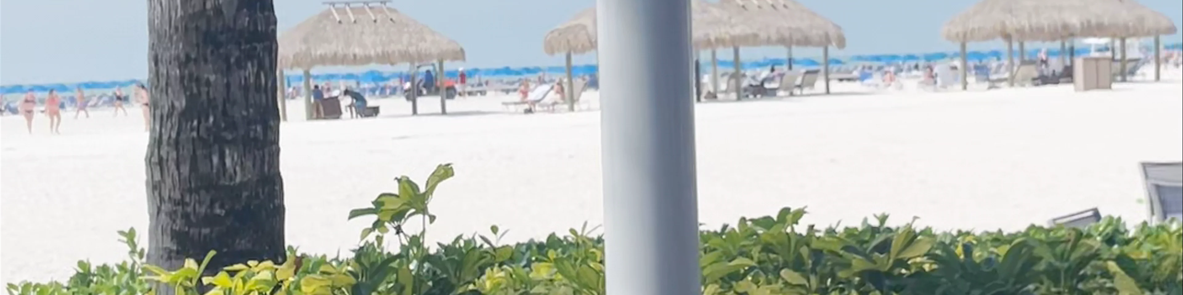 JW Marriott Marco Island Beach Resort