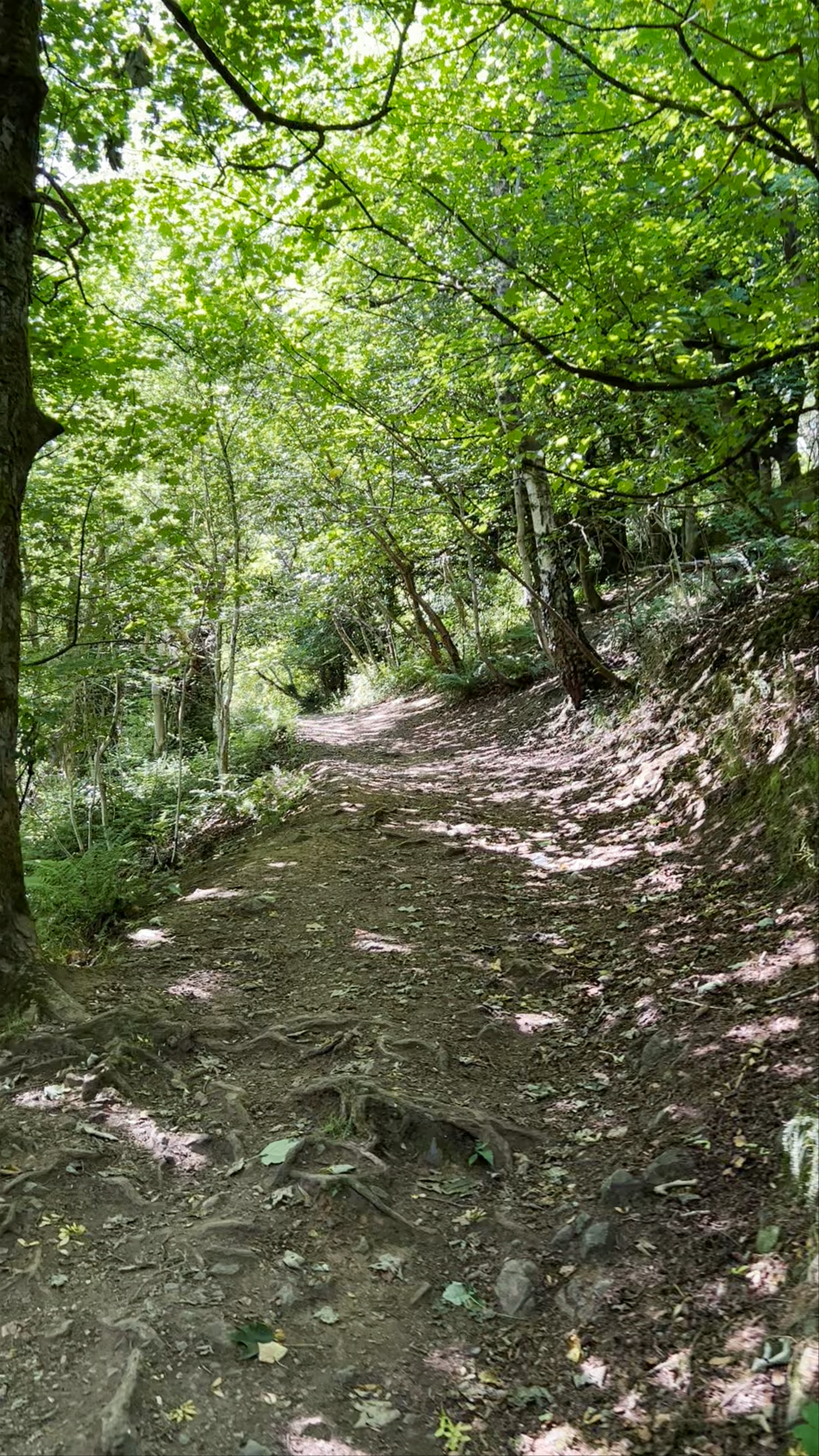Malvern Hills
