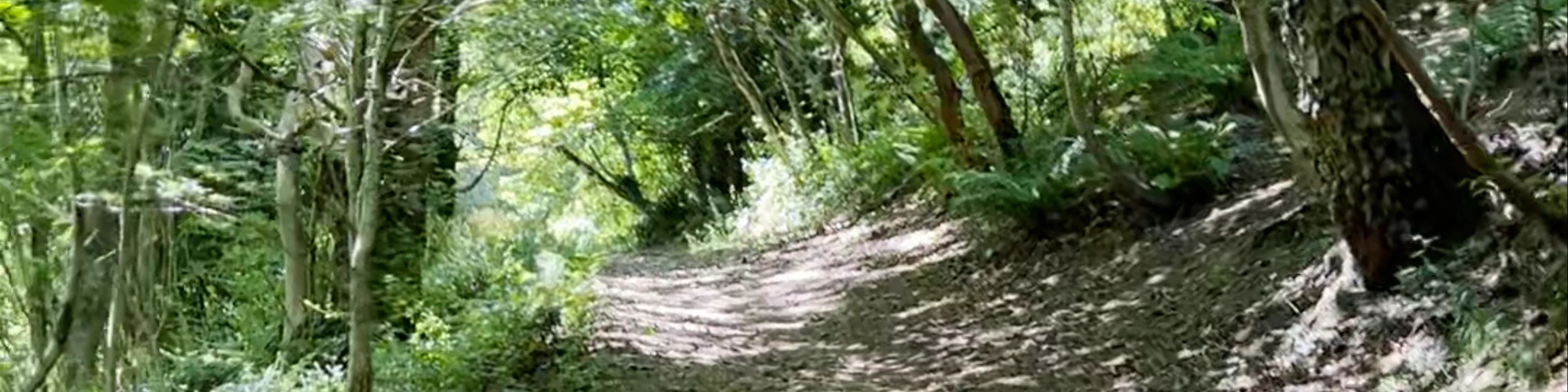 Malvern Hills