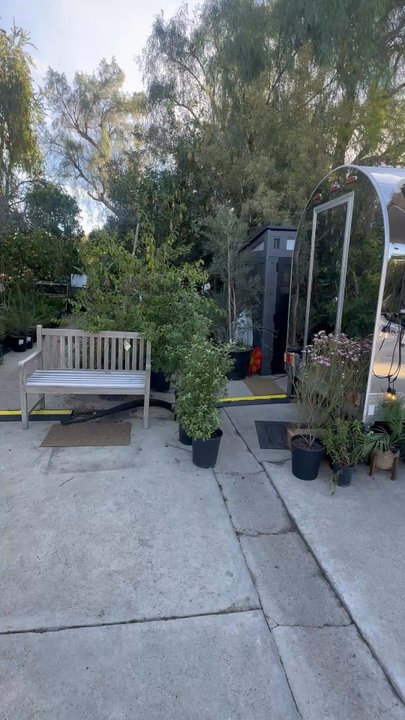 Just Vibes Cafe - Food Trucks Near Me - Chatsworth , California