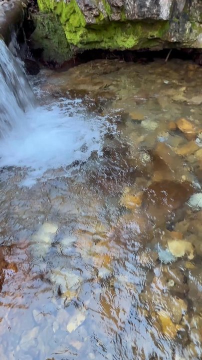 Bridger- teton Intermiten Springs - Hiking Near Me - Afton, Wyoming