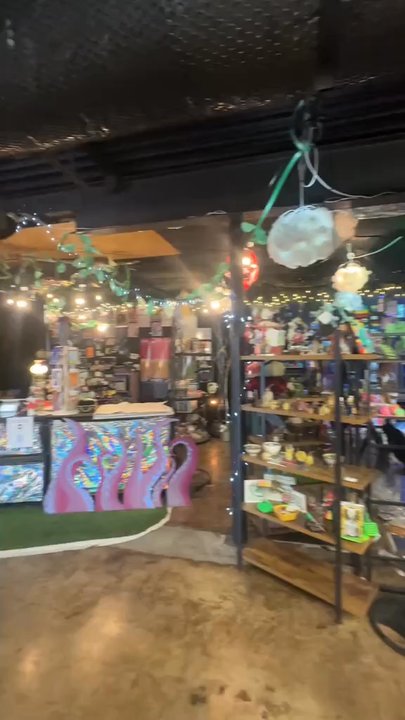 Mycelium Gallery - Quick video of the Mycelium Gallery on nw Penn. - Art Galleries Near Me - Oklahoma City, Oklahoma