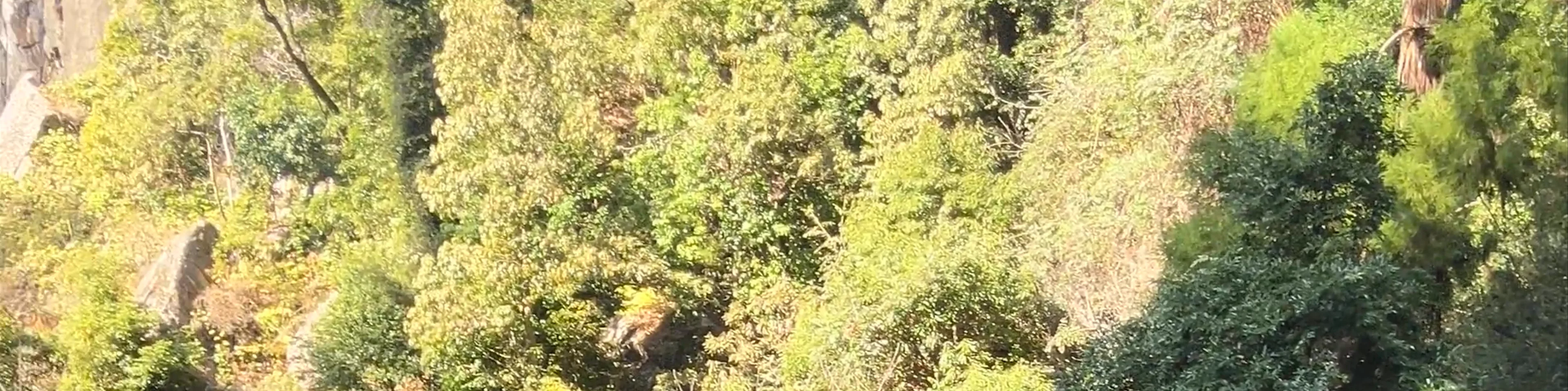 Nachi Waterfall
