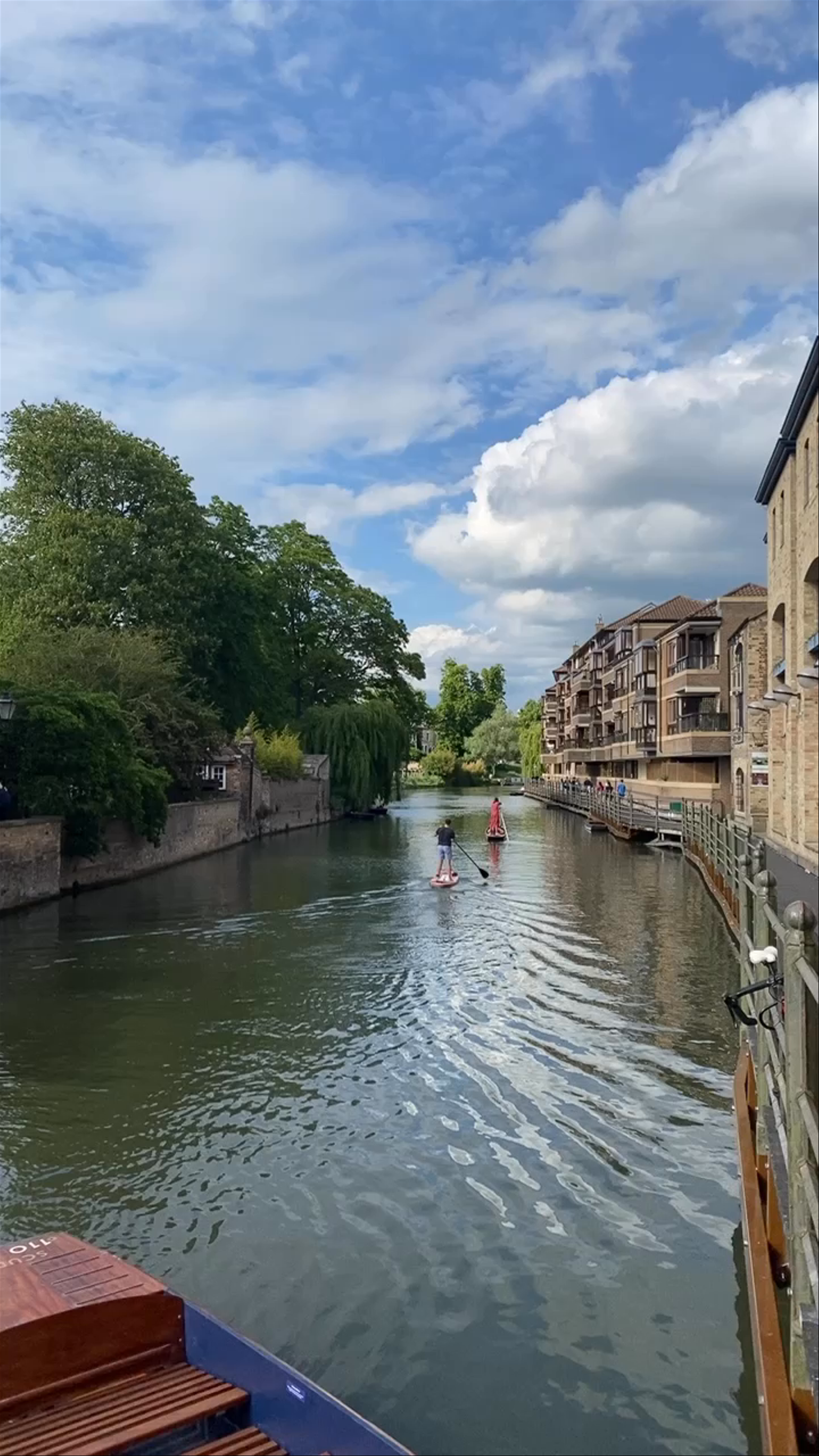 Peaceful Riverside Paddleboarding in Cambridge