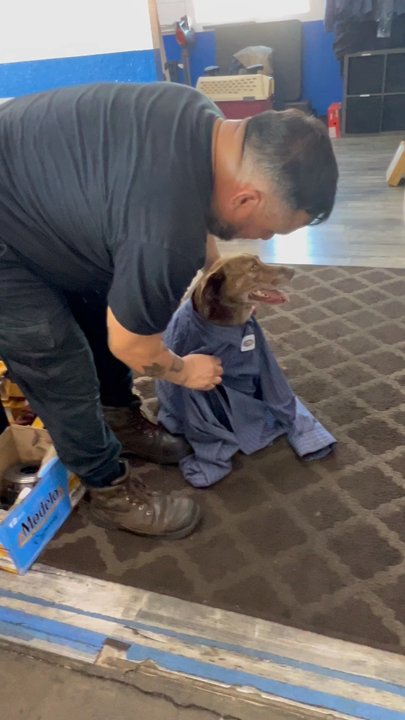Alliance Auto Care - My Chucha has been bringing her cars to Ramiro and the team for year! She loves the efficient and knowledgeable service. - Auto Repair Near Me - Harbor City, California