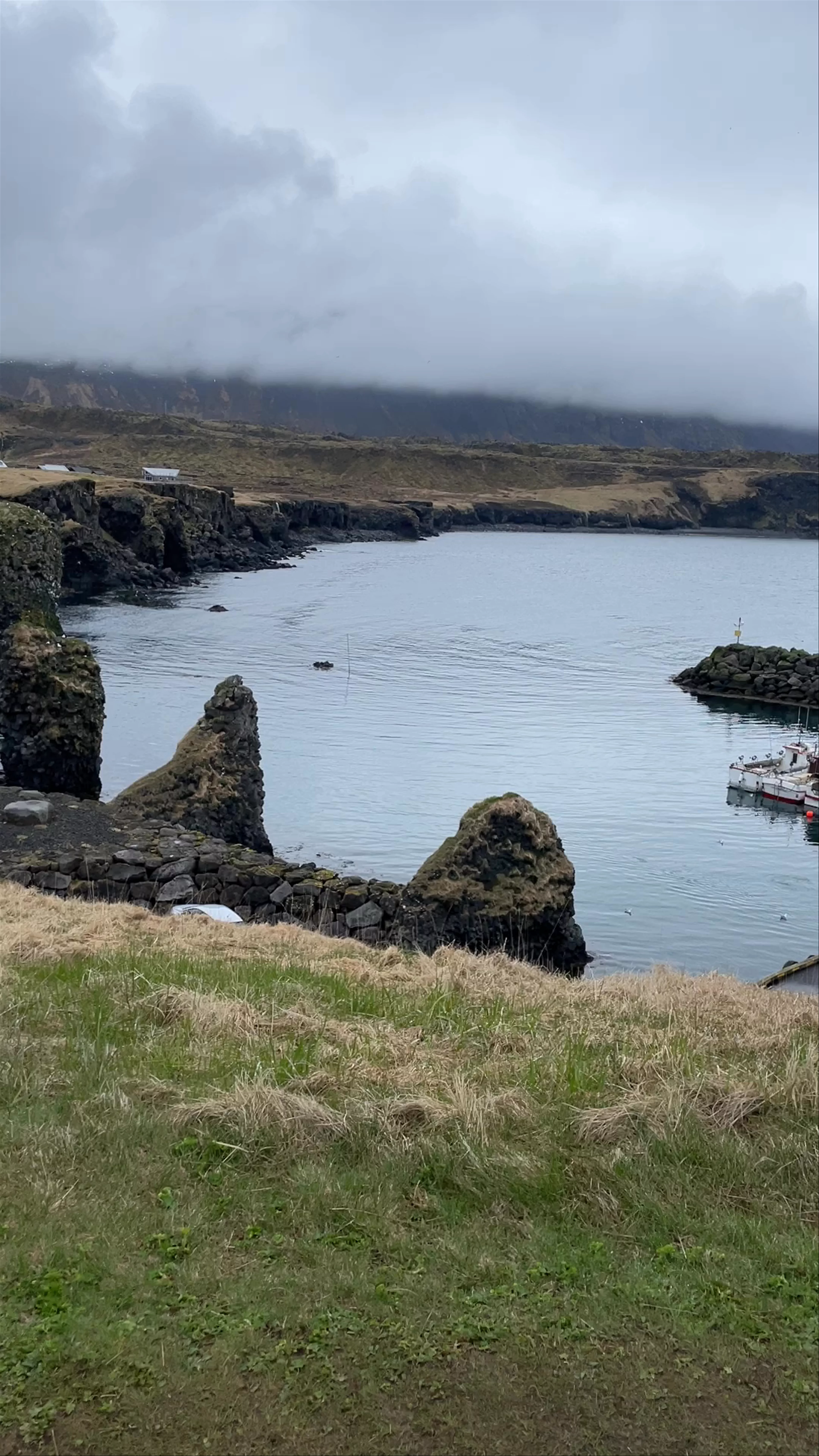 Arnarstapi Harbour