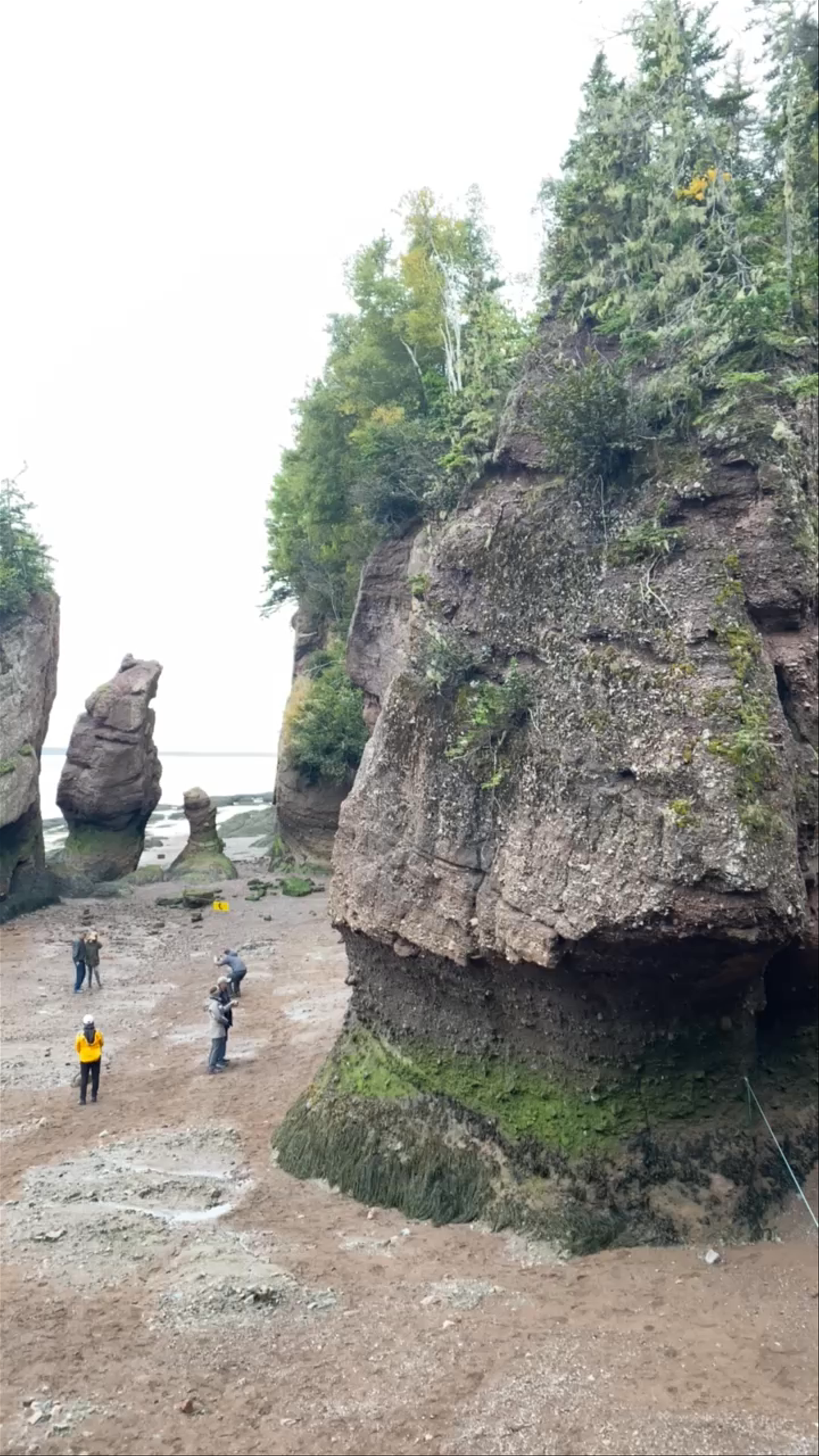 Hopewell Rocks