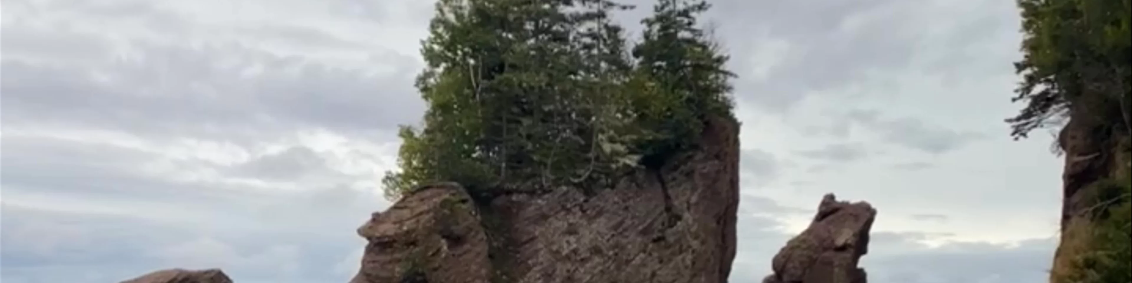 Hopewell Rocks