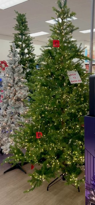 Kohl's - Illuminated tree - Women's Clothing Near Me - Wappingers Falls, New York