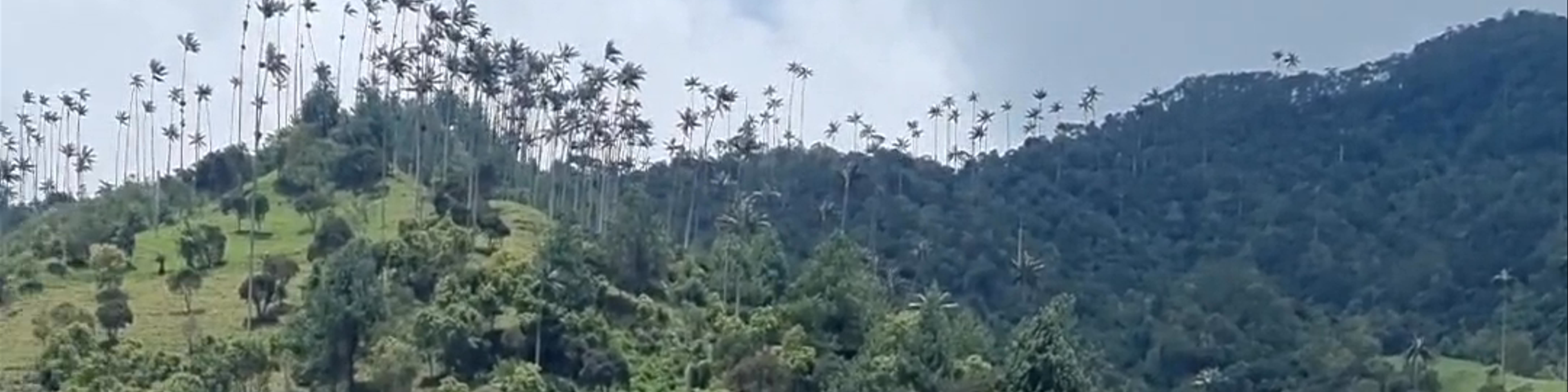 Quindío