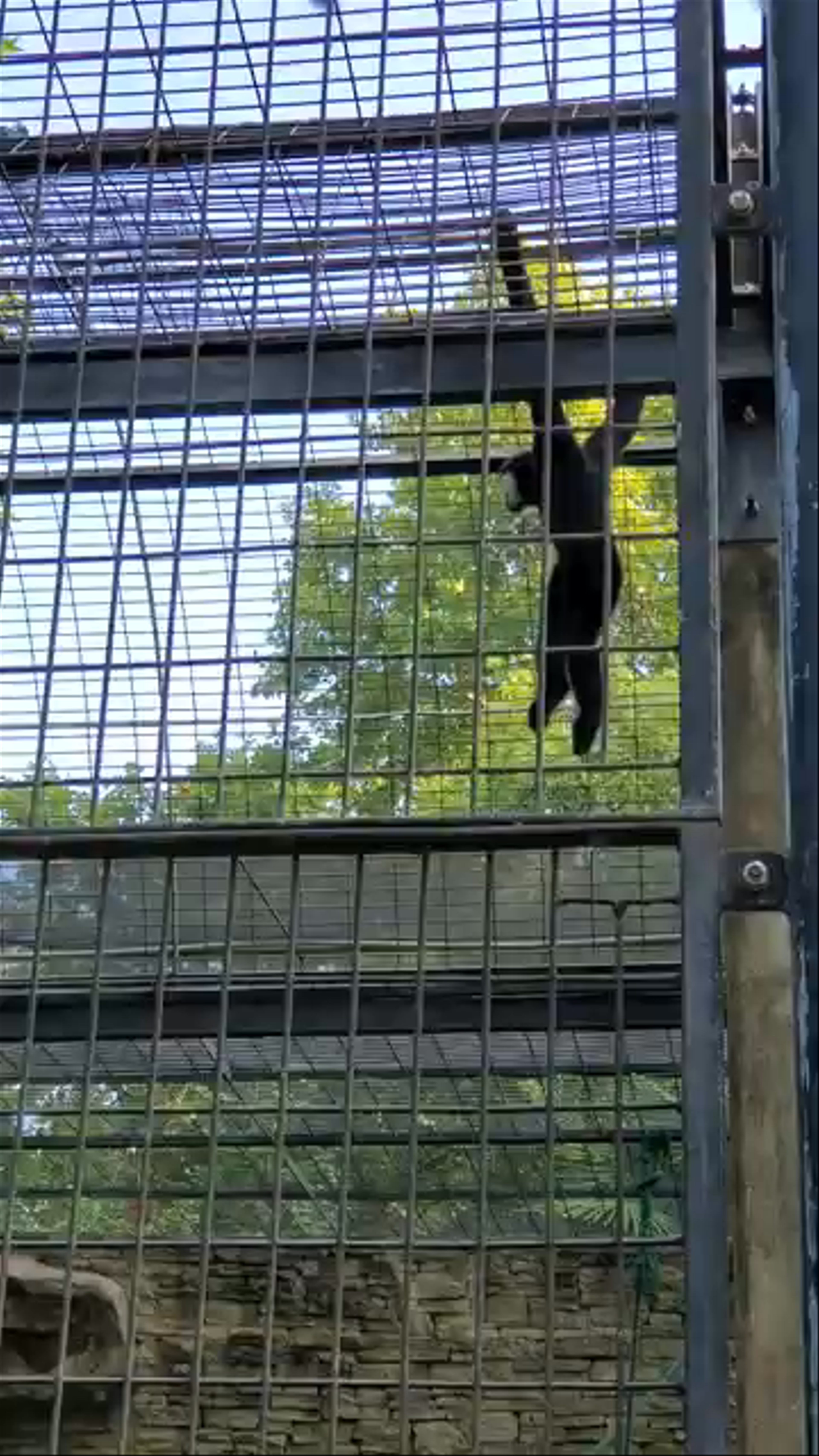 shanghai zoo