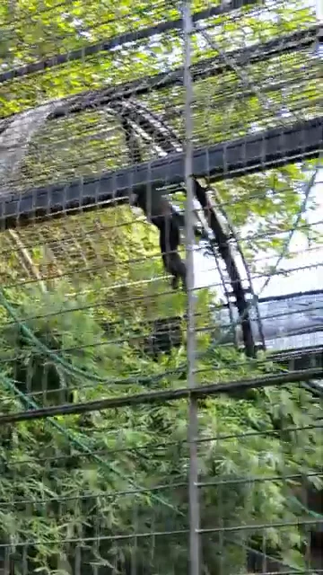 shanghai zoo
