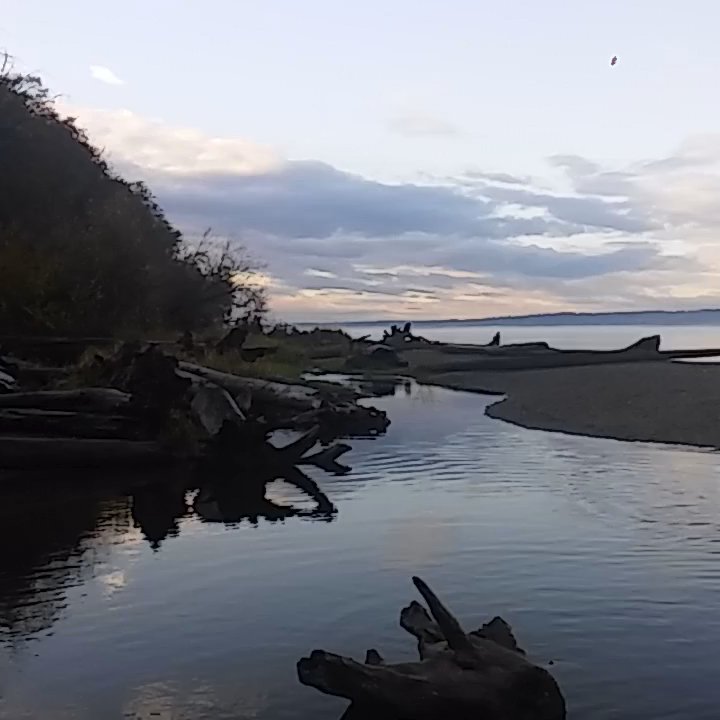 Video thumbnail 5 more videos