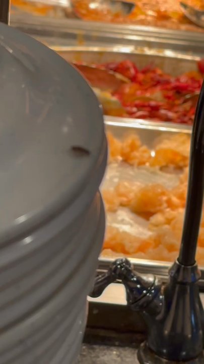 Teppanyaki Grill - roach on plates in buffet - Buffets Near Me - Laurel, Maryland