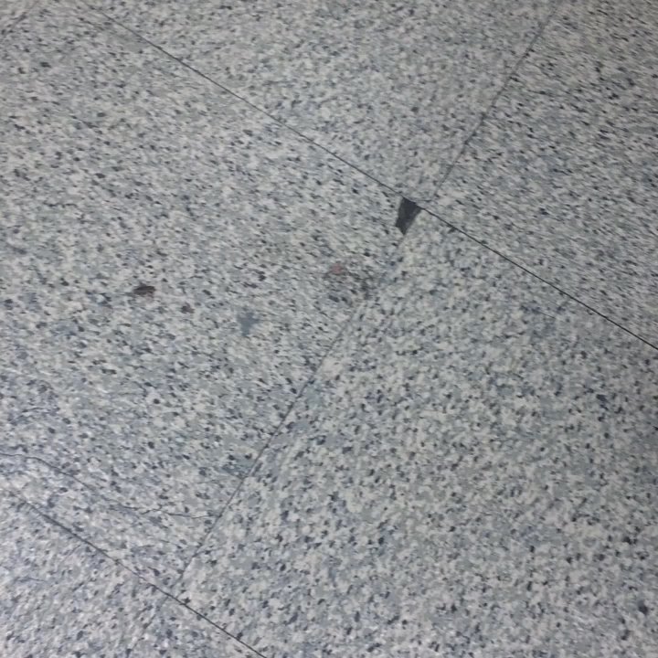 Albertsons - Yup that's a roach! - Grocery Near Me - El Paso, Texas