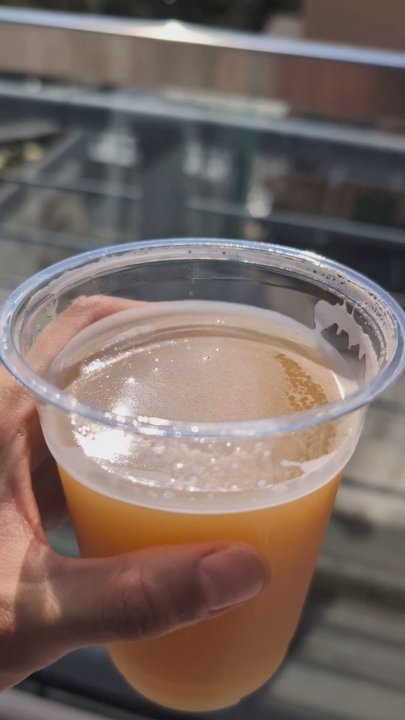Randolph Beer - Views from the rooftop - Brewpubs Near Me - Brooklyn, New York