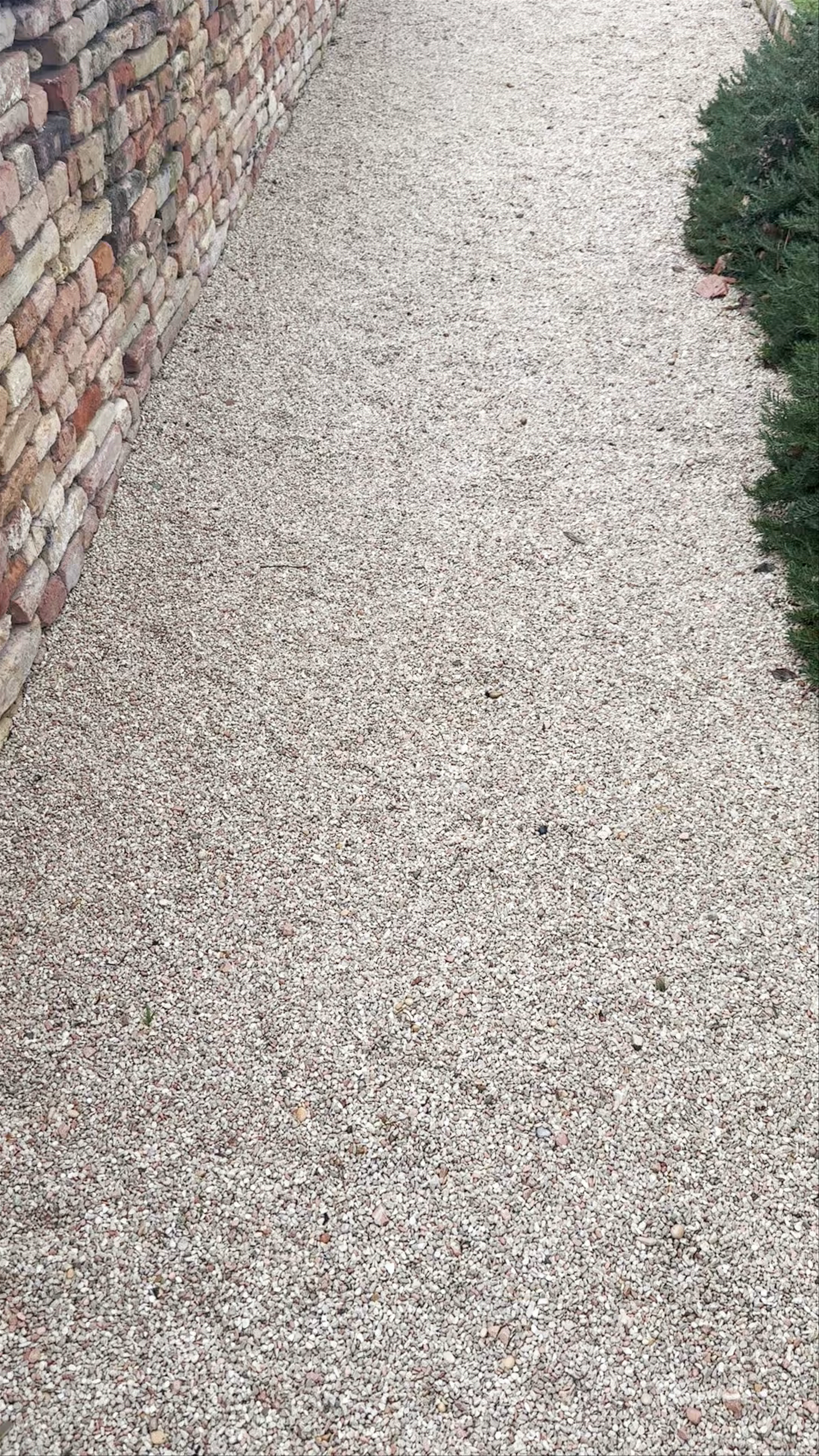 Orto sul Colle dell’Infinito