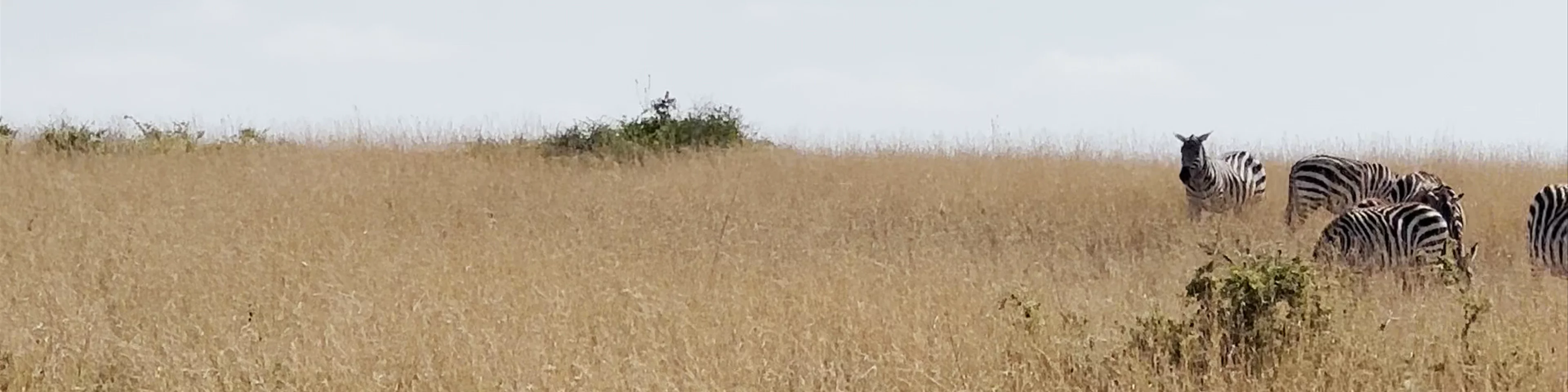 Nairobi National Park