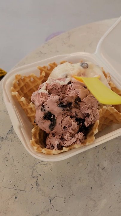 Springfield Scoops - Ice Cream & Frozen Yogurt Near Me - Jacksonville, Florida