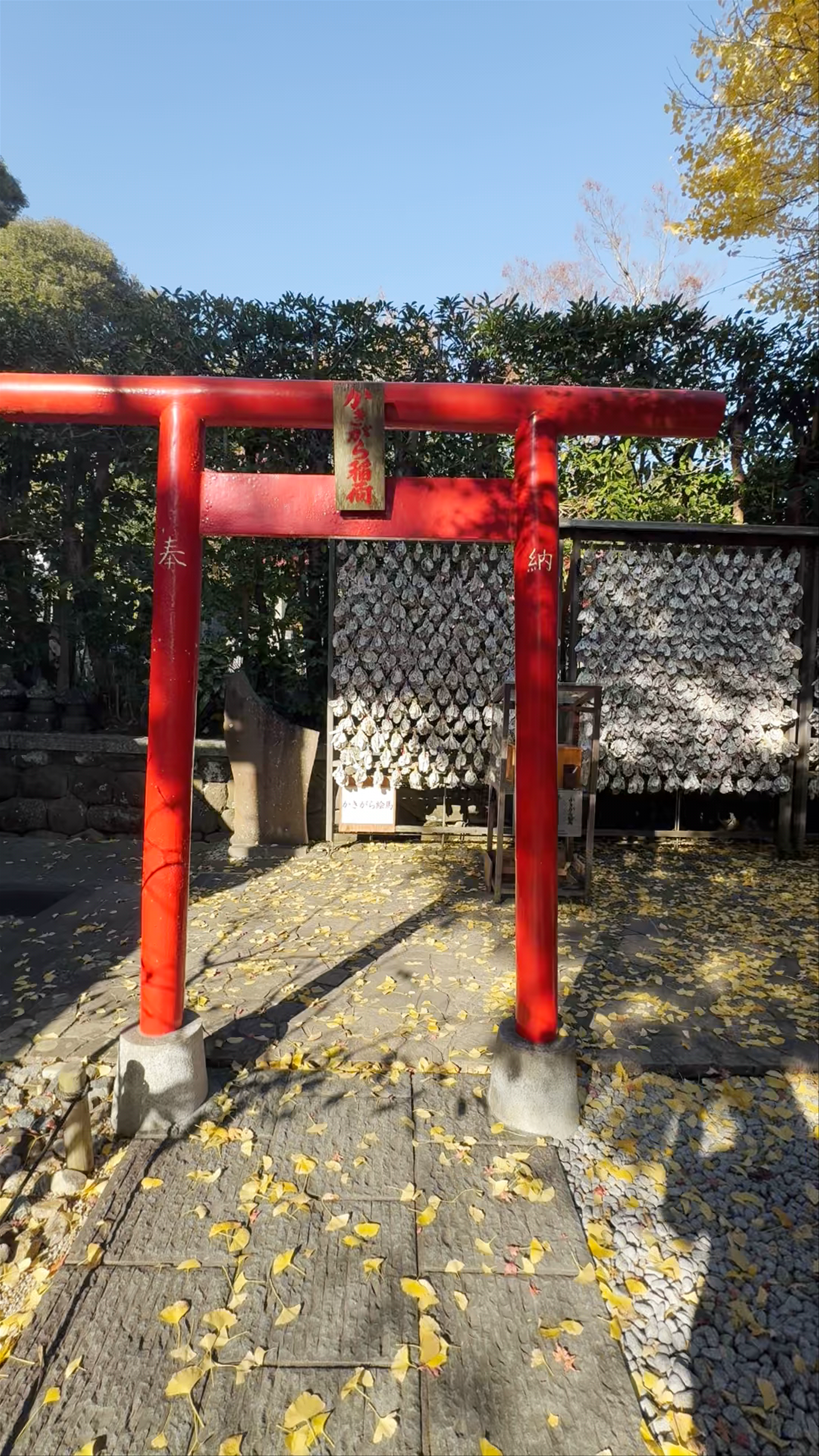 Hasedera Shrine: Autumn Serenity and Oyster Shell Wishes in Kamakura