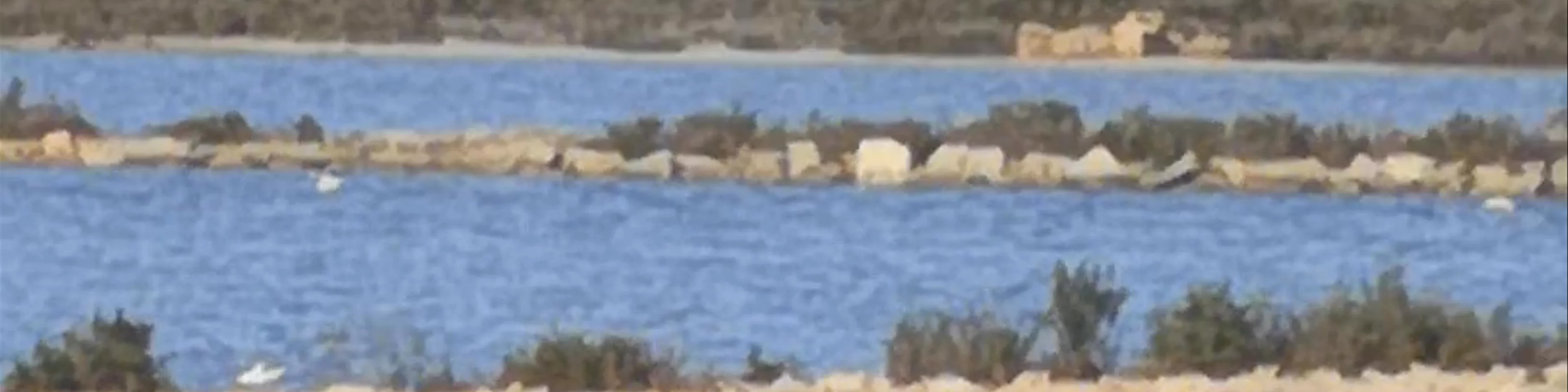 Salines des Trenc