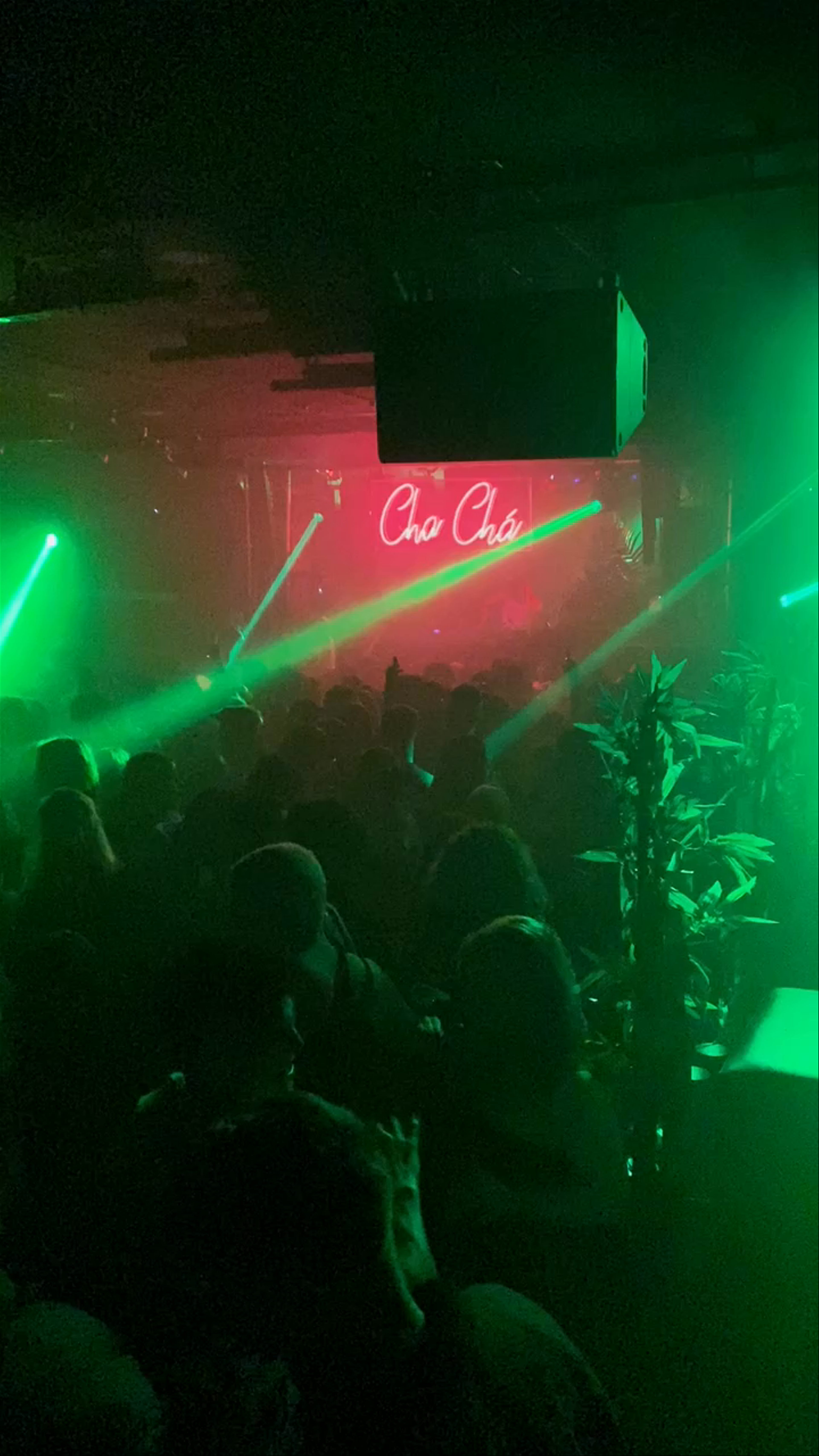 Nightlife Pulse at CHA CHÁ The Club in Madrid