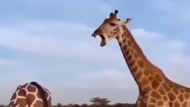 compilation compilation 🎬