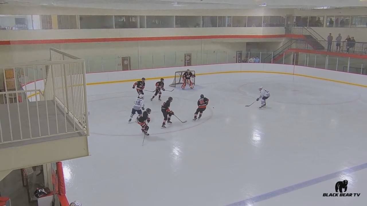 Spencer Lane's  Goal-Nest Hockey Academy Highlights