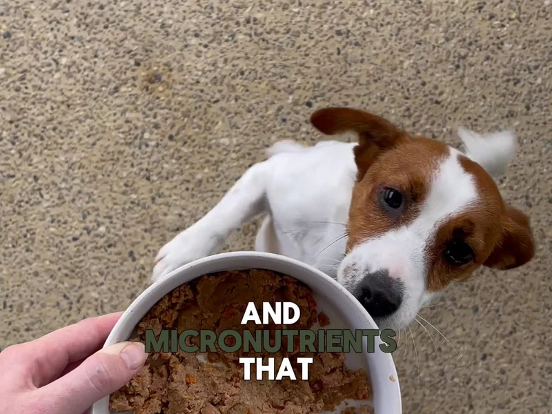 Tucker Tub  UGC Ad