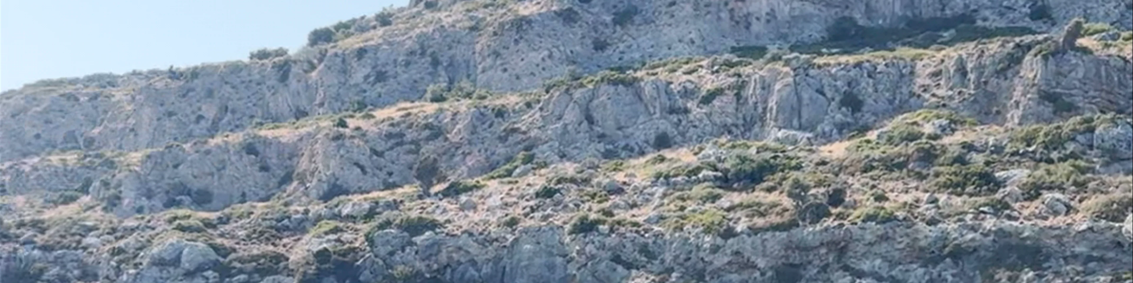 Anthony Quinn Bay