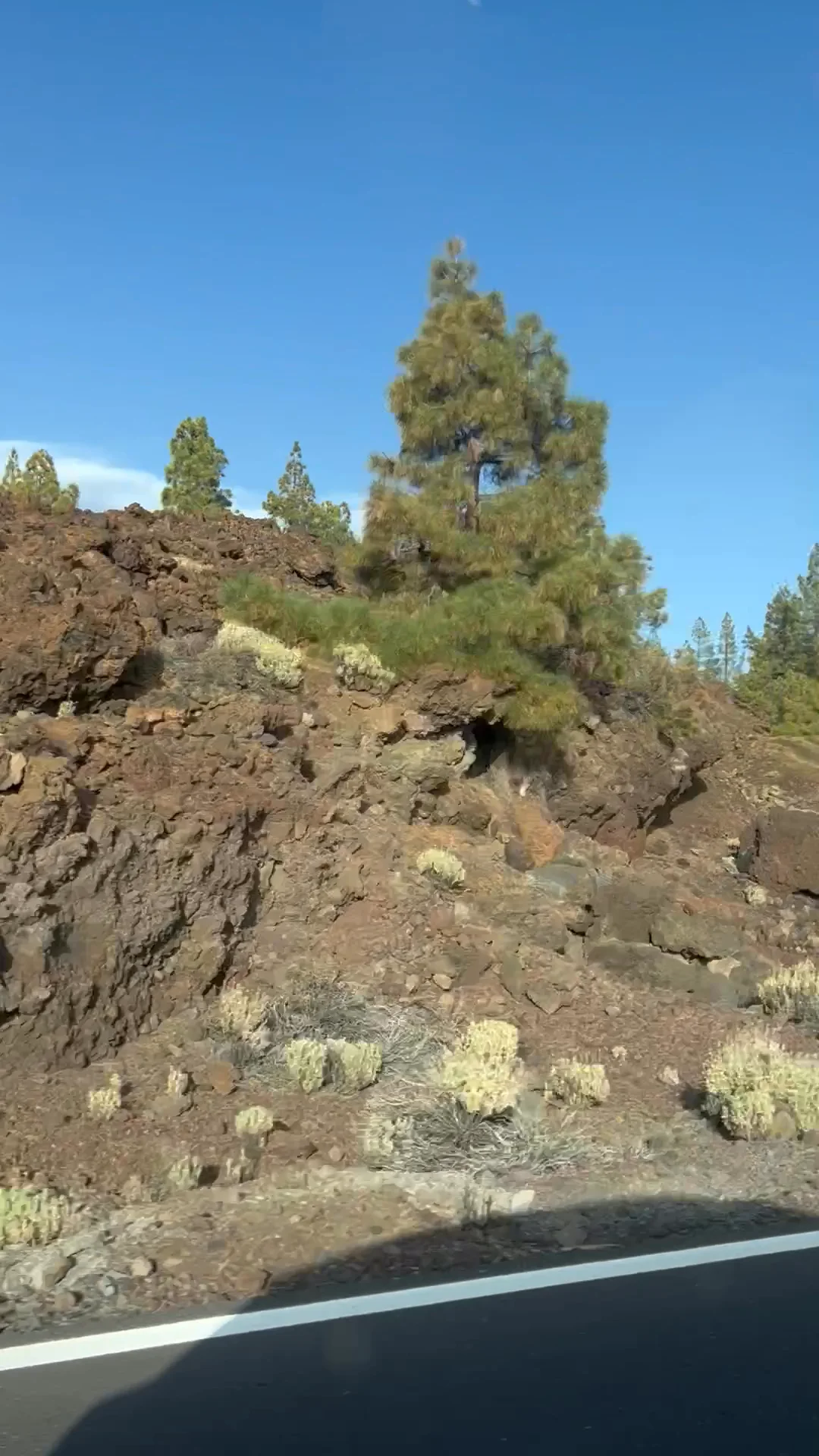 Video 8 · Giada · Tenerife: A week of Surfing Waves
